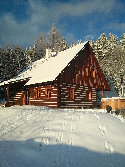 Roubenka pod lesem foto 6