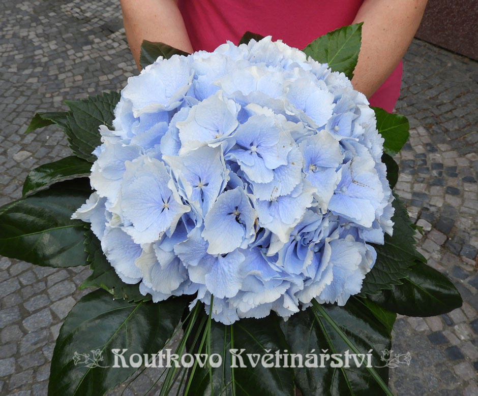 Koutkovo květinářství foto 2