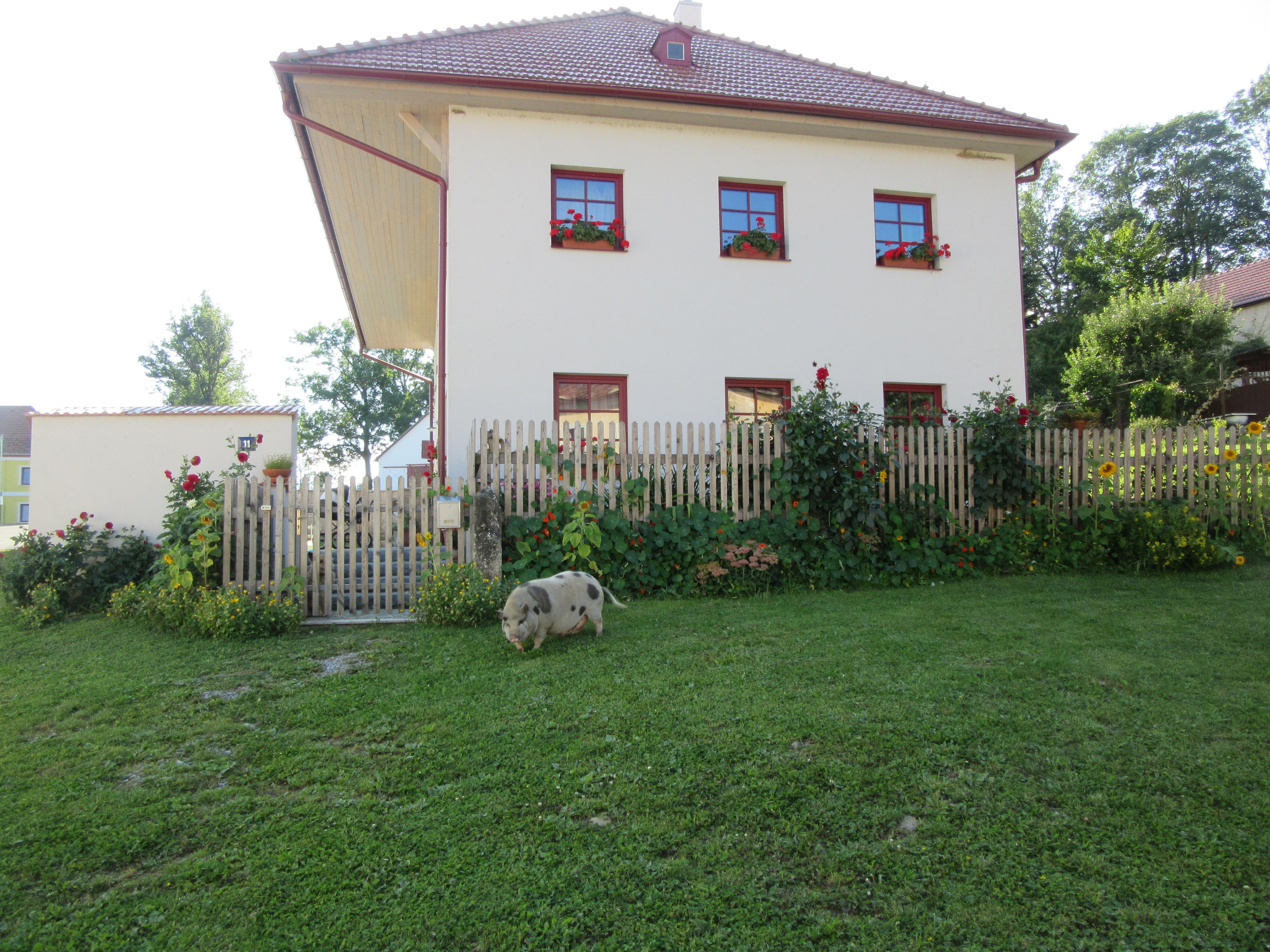 Ubytování Farma Praschlhof