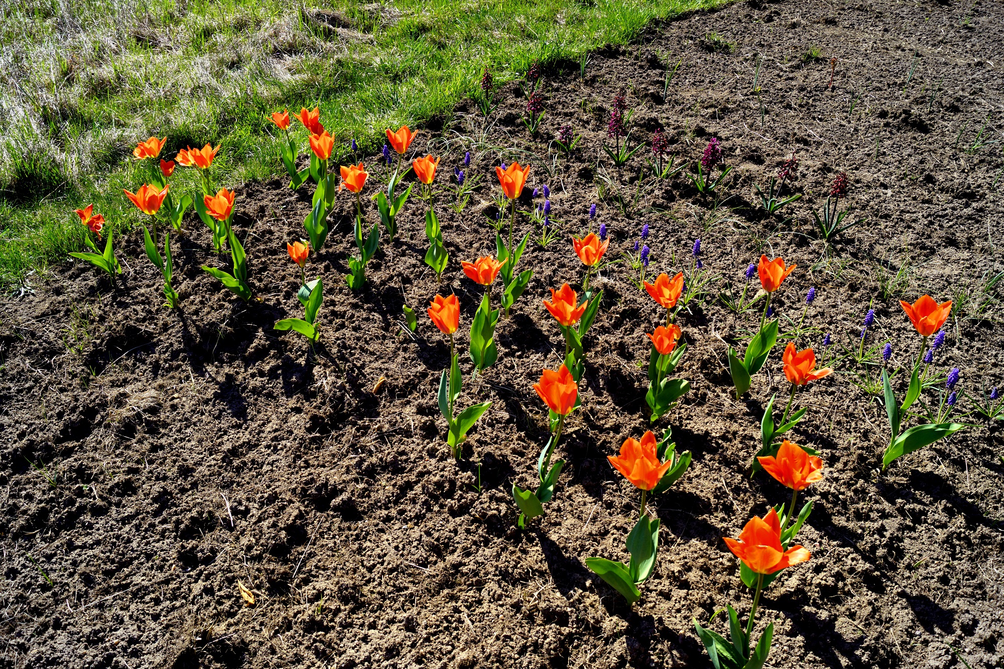 Ateliér12měsíců - návrhy zahrad, výtvarné umění foto 3