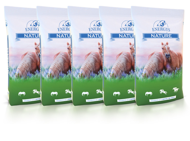 Krmiva pro koně Energys foto 3