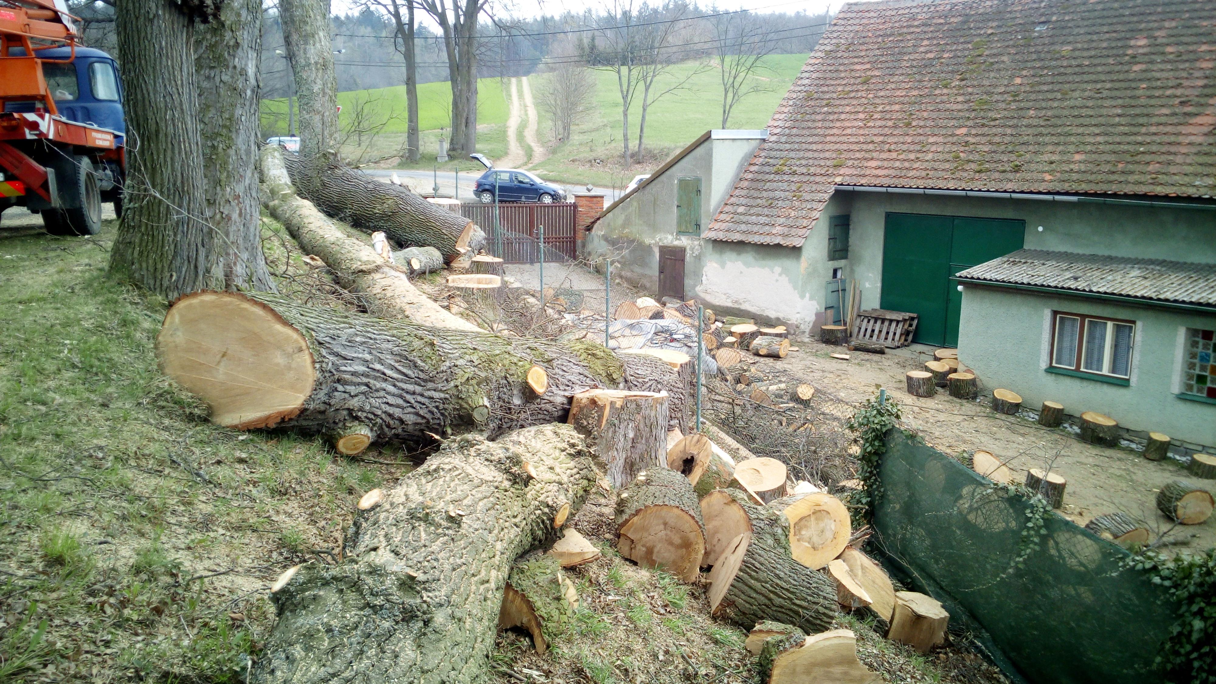 Rizikové Kácení stromů Pavel Touš foto 2