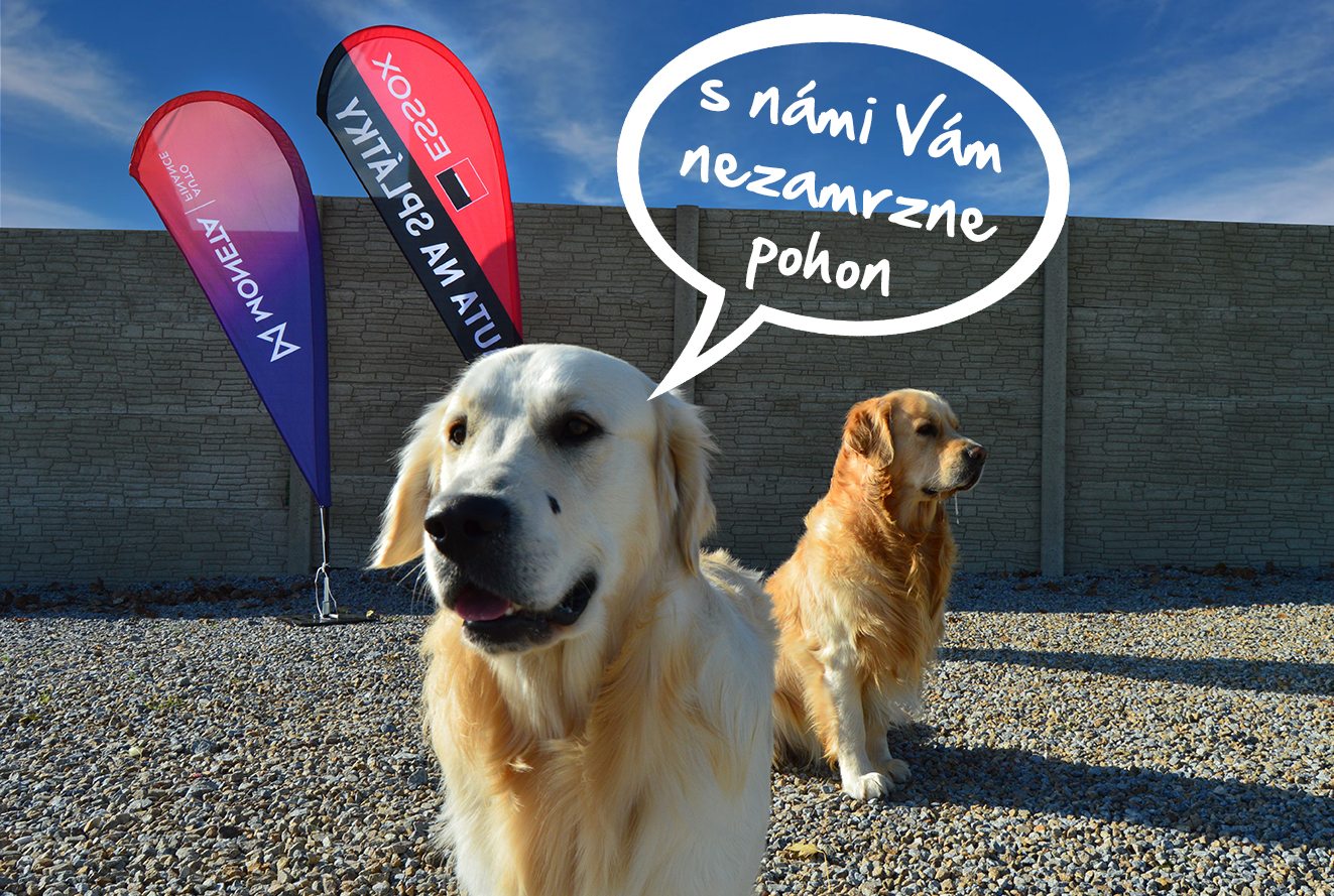 S AUTOPLAC foto 3