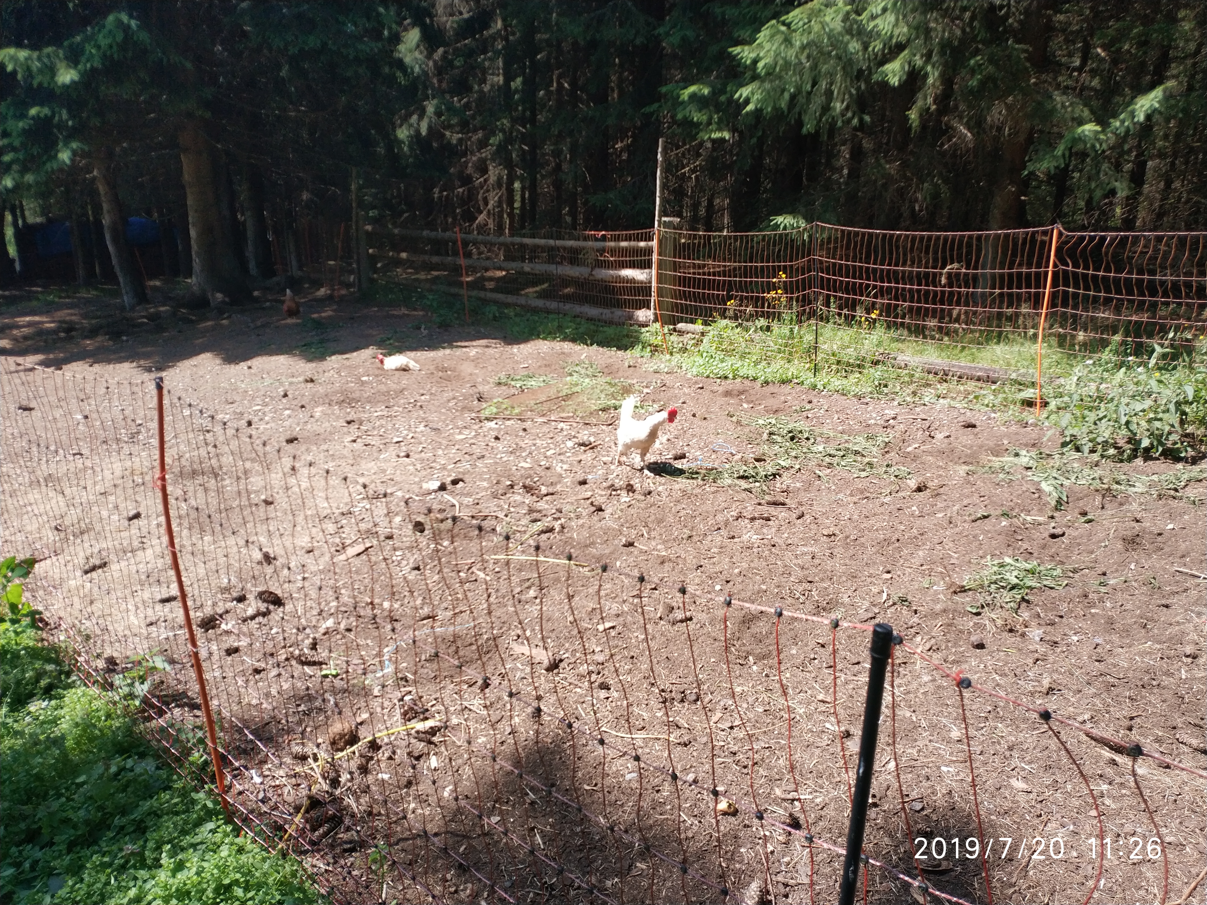 Pension Hones foto 5