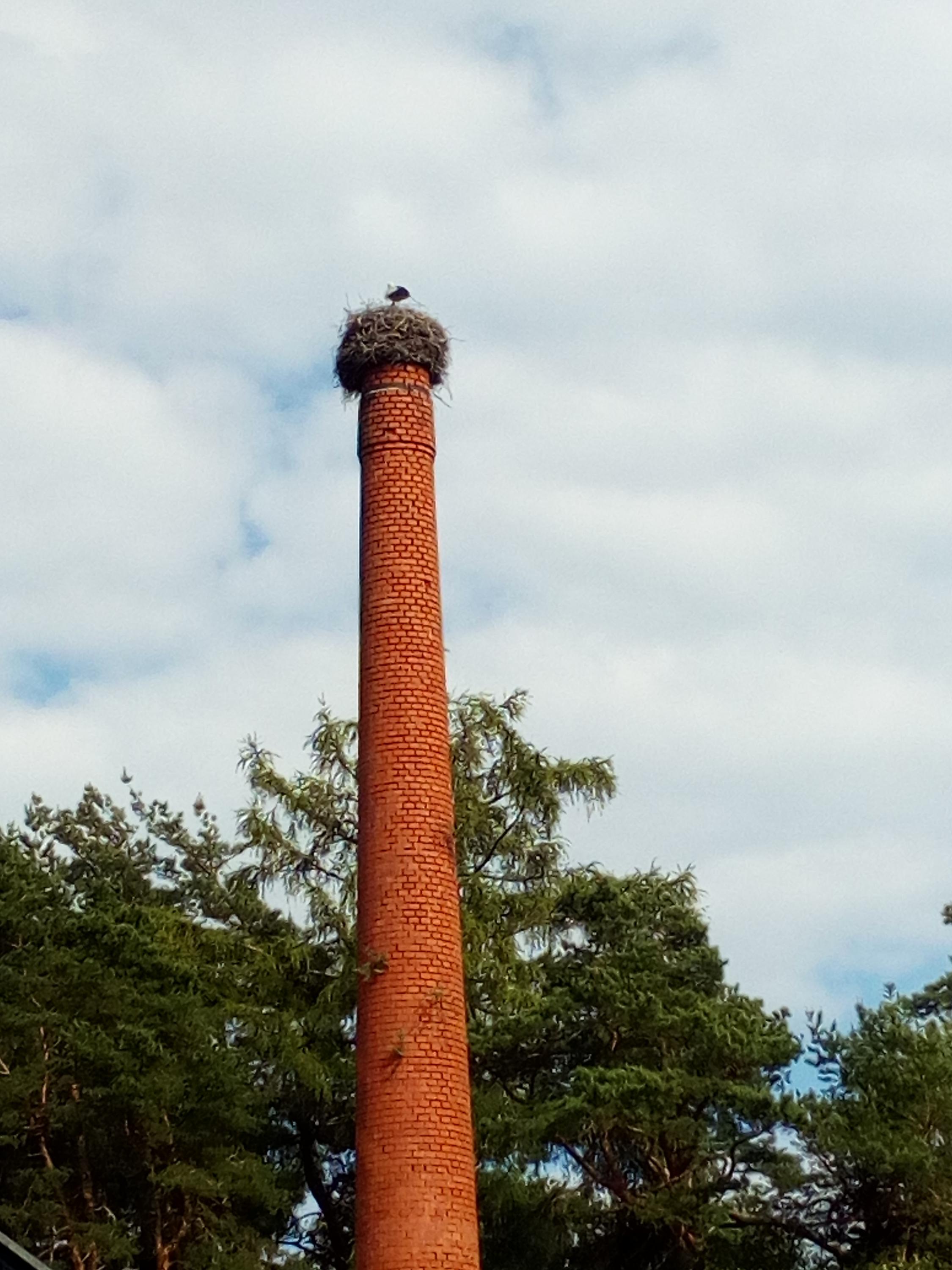 Penzion Pod Komínem foto 4