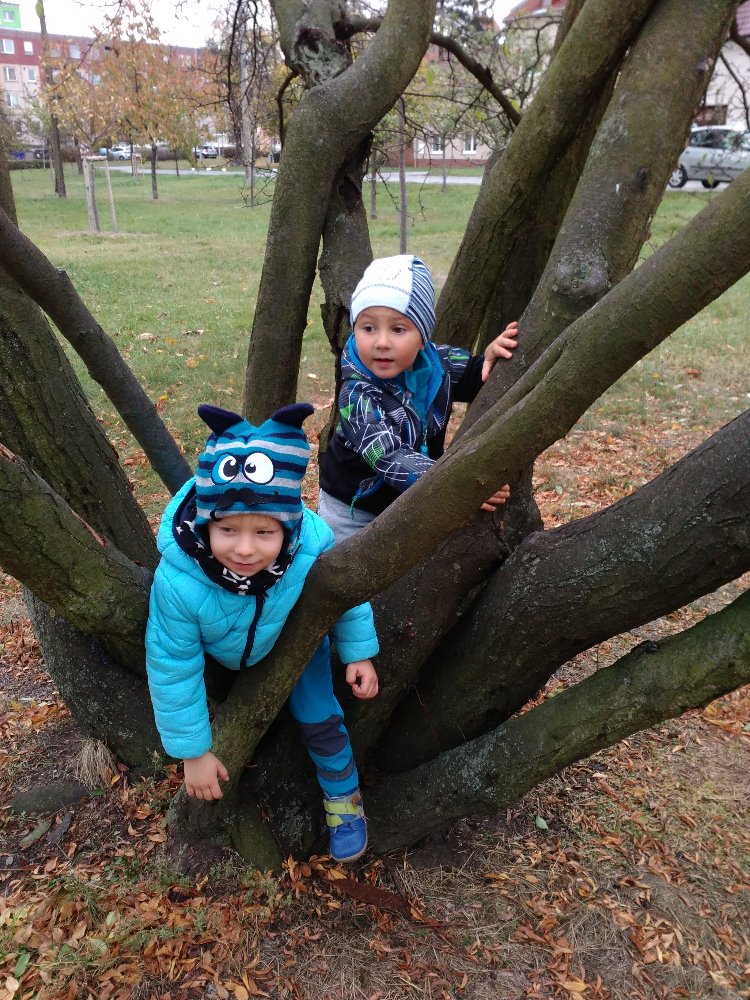 Dětská skupina Štístko foto 2