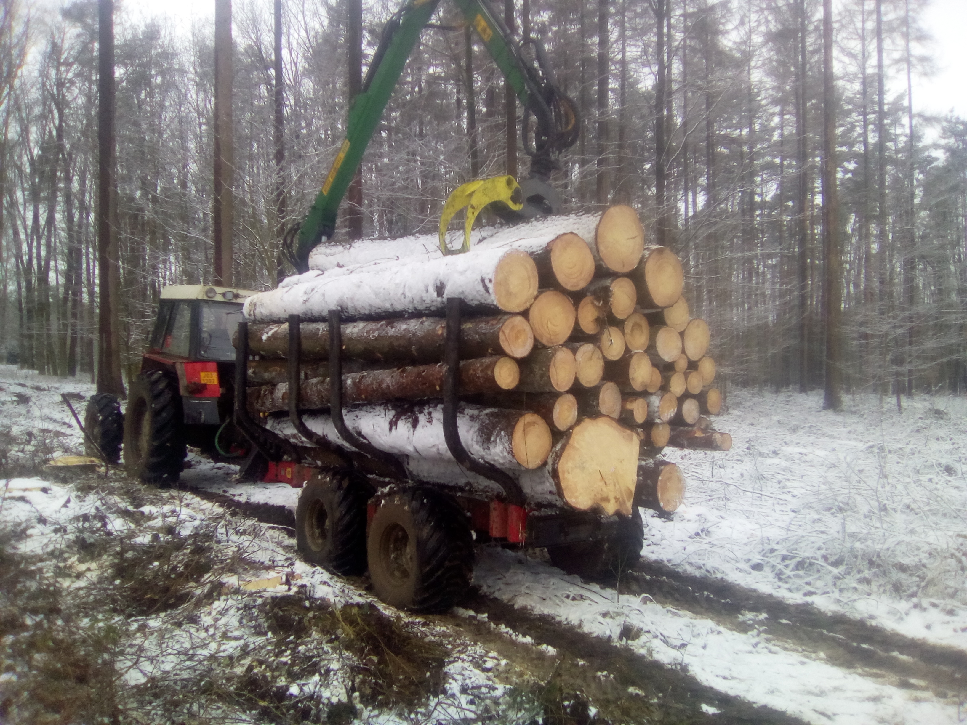 LesKo Růžička foto 3