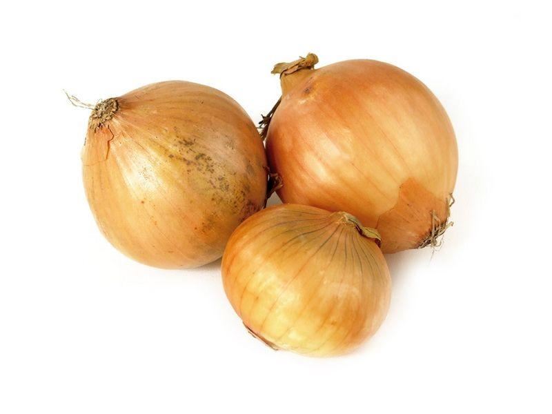 FARMA RODINY NĚMCOVY foto 4