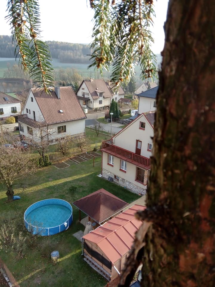 Patrik Keller - rizikové kácení stromů foto 3