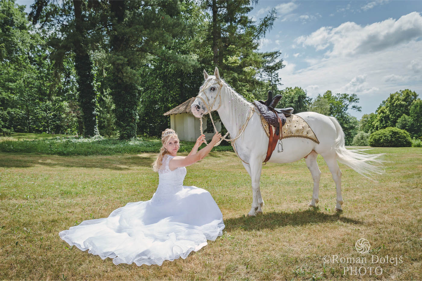 Roman Dolejš Photo foto 3