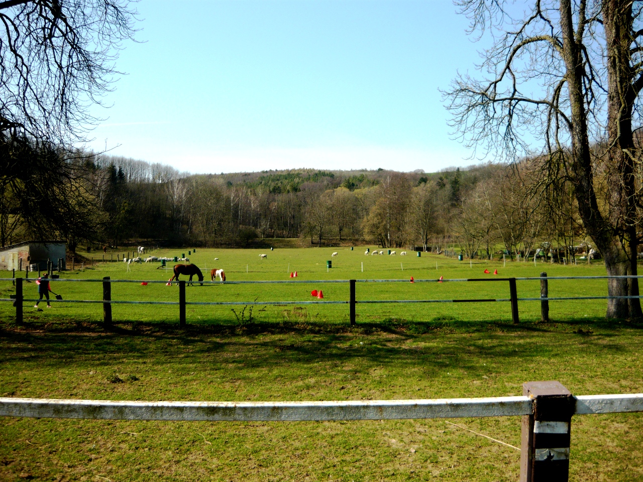 Ekofarma Jalový dvůr