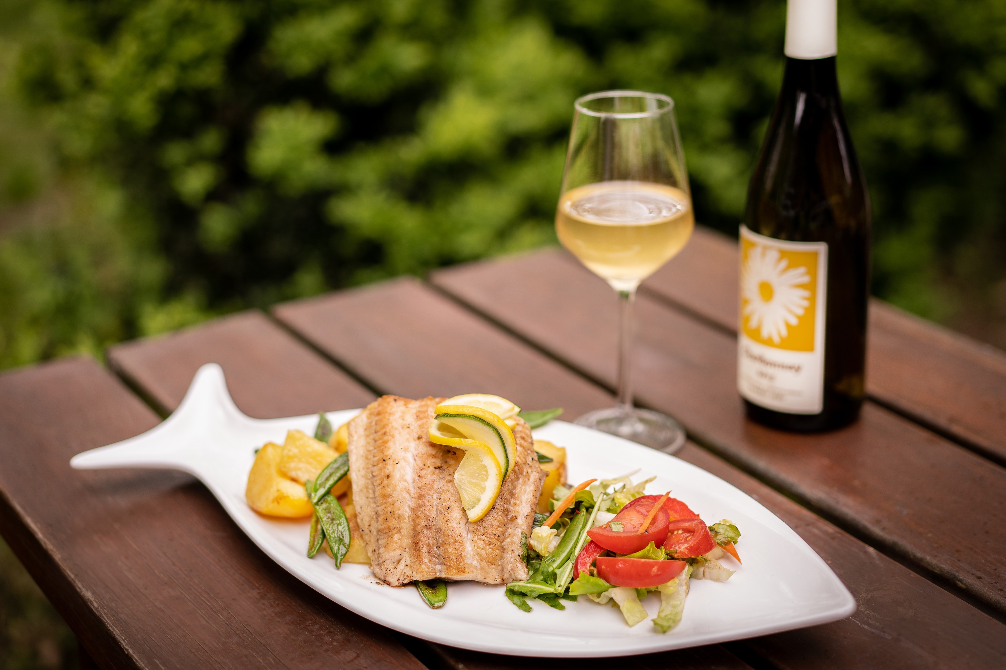 Penzion Labská Marína foto 4