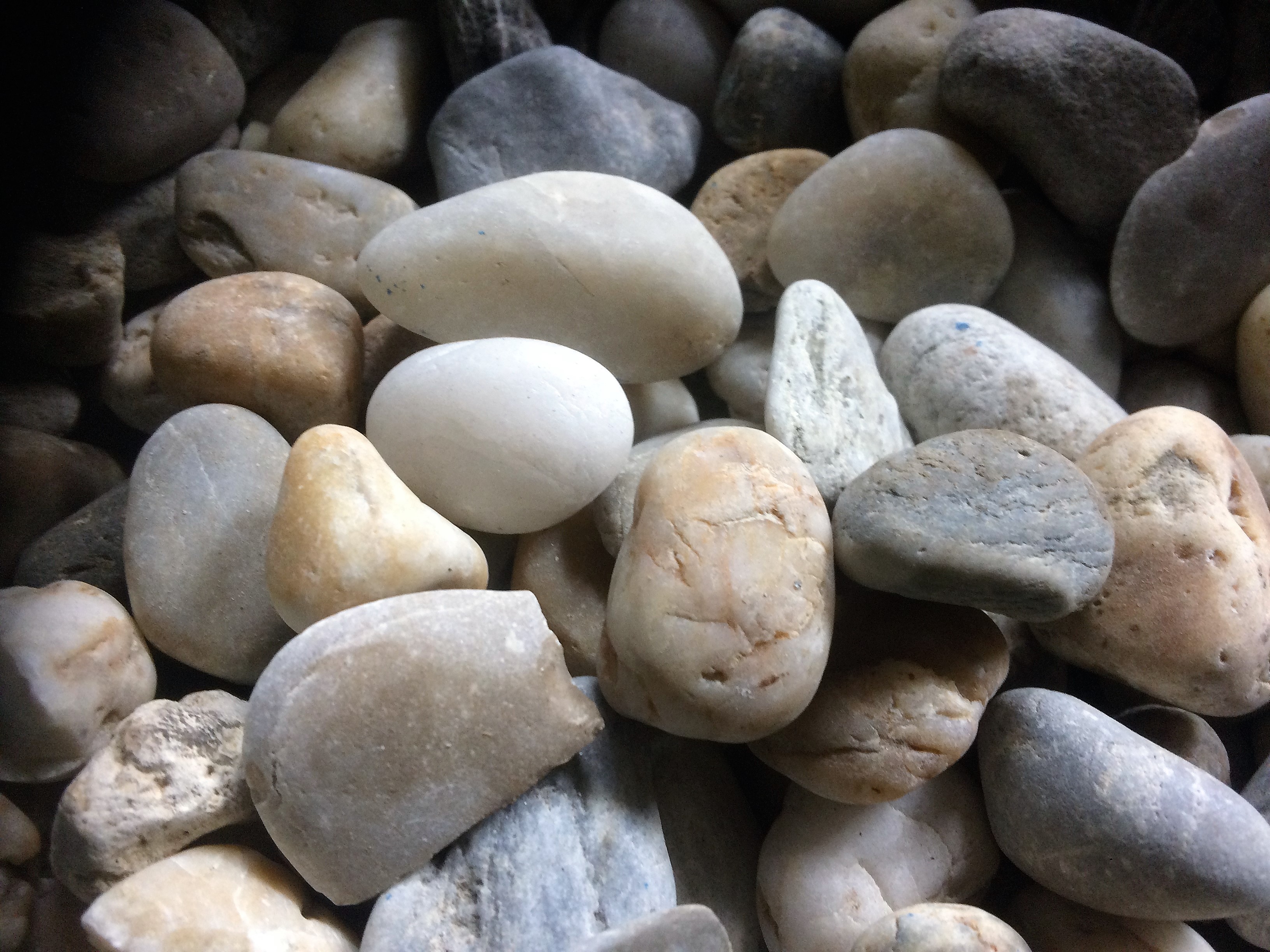 Tomáš Lotko - Přírodní dekorativní kamenivo foto 3