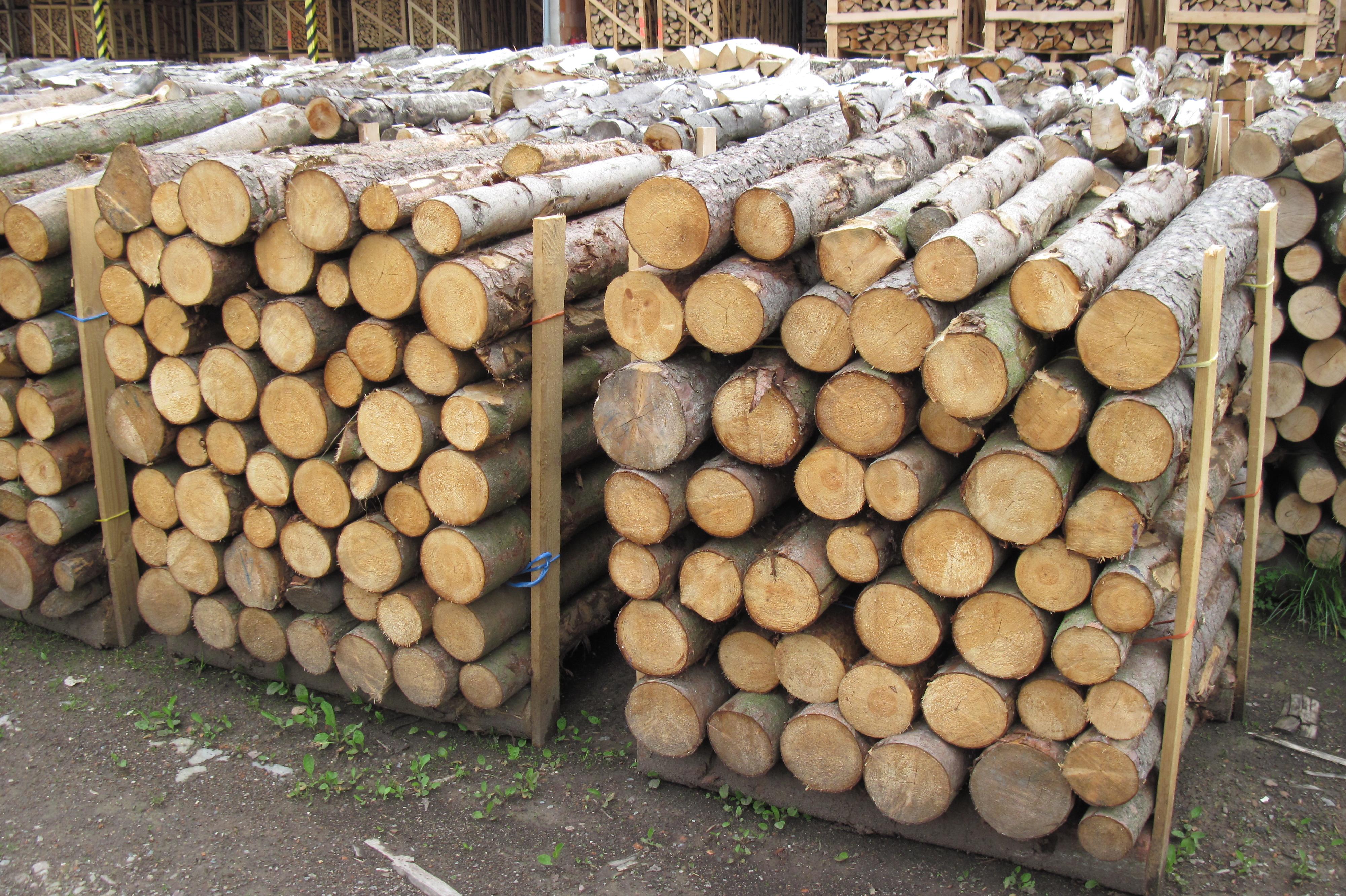 Jan Kolowrat-Krakowský