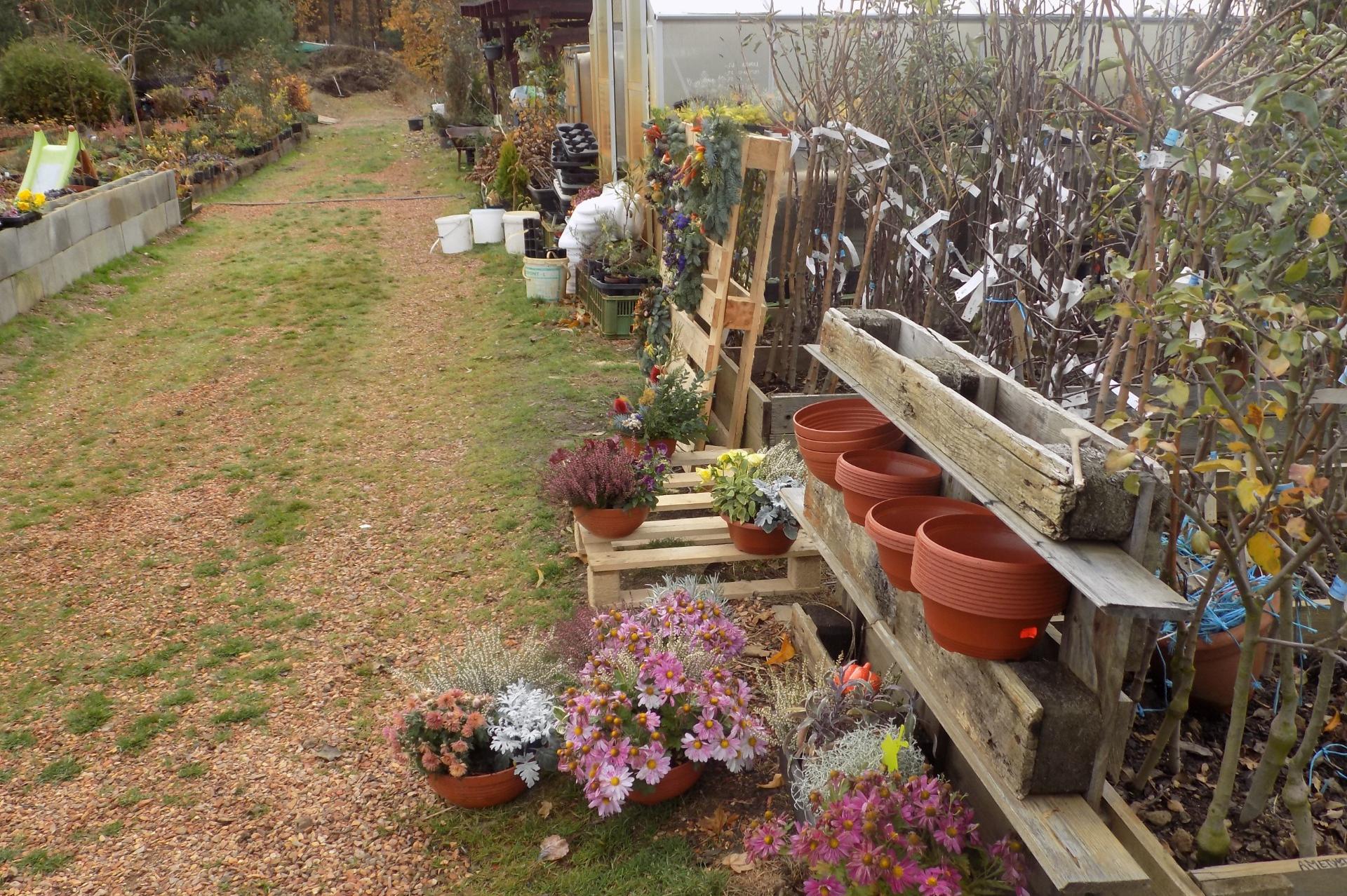 Zahradnictví Iveta Antošová