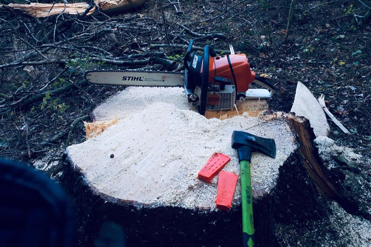 Jiří Dvořák foto 1