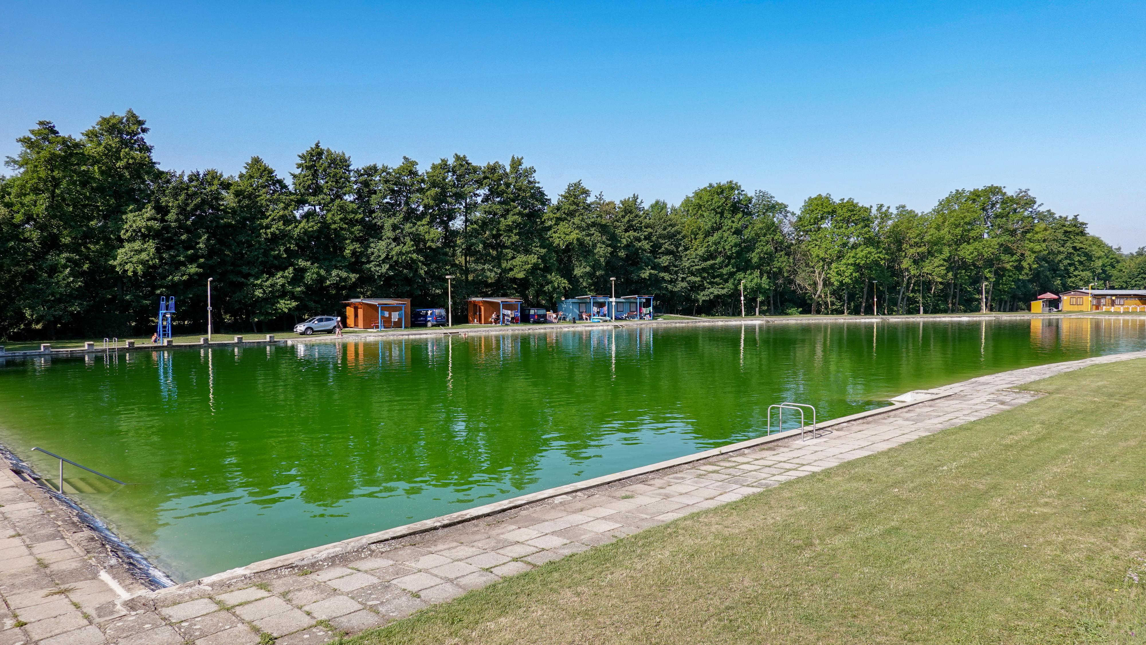 Koupaliště Vémyslice foto 3