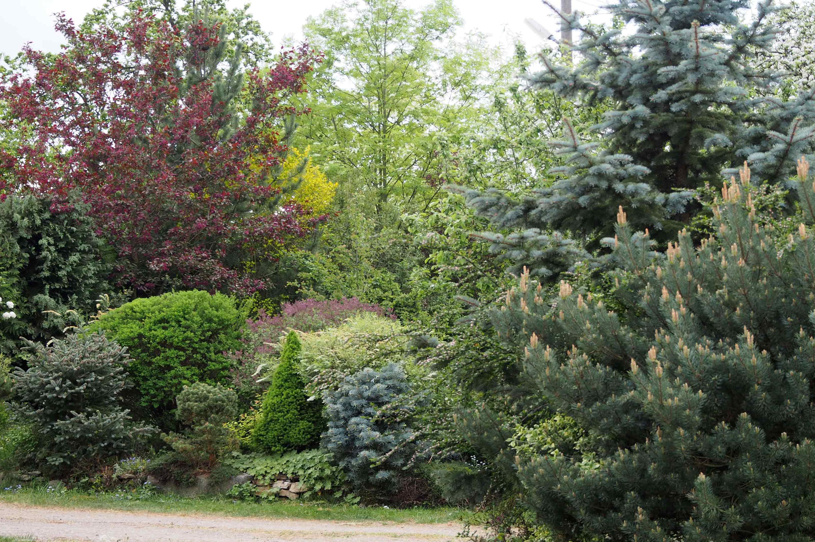 Pěstební práce Jana Jungová