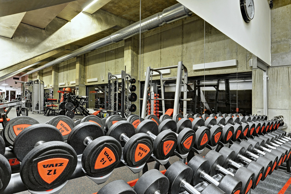 Hammer Strength Fitness SPARTA foto 4