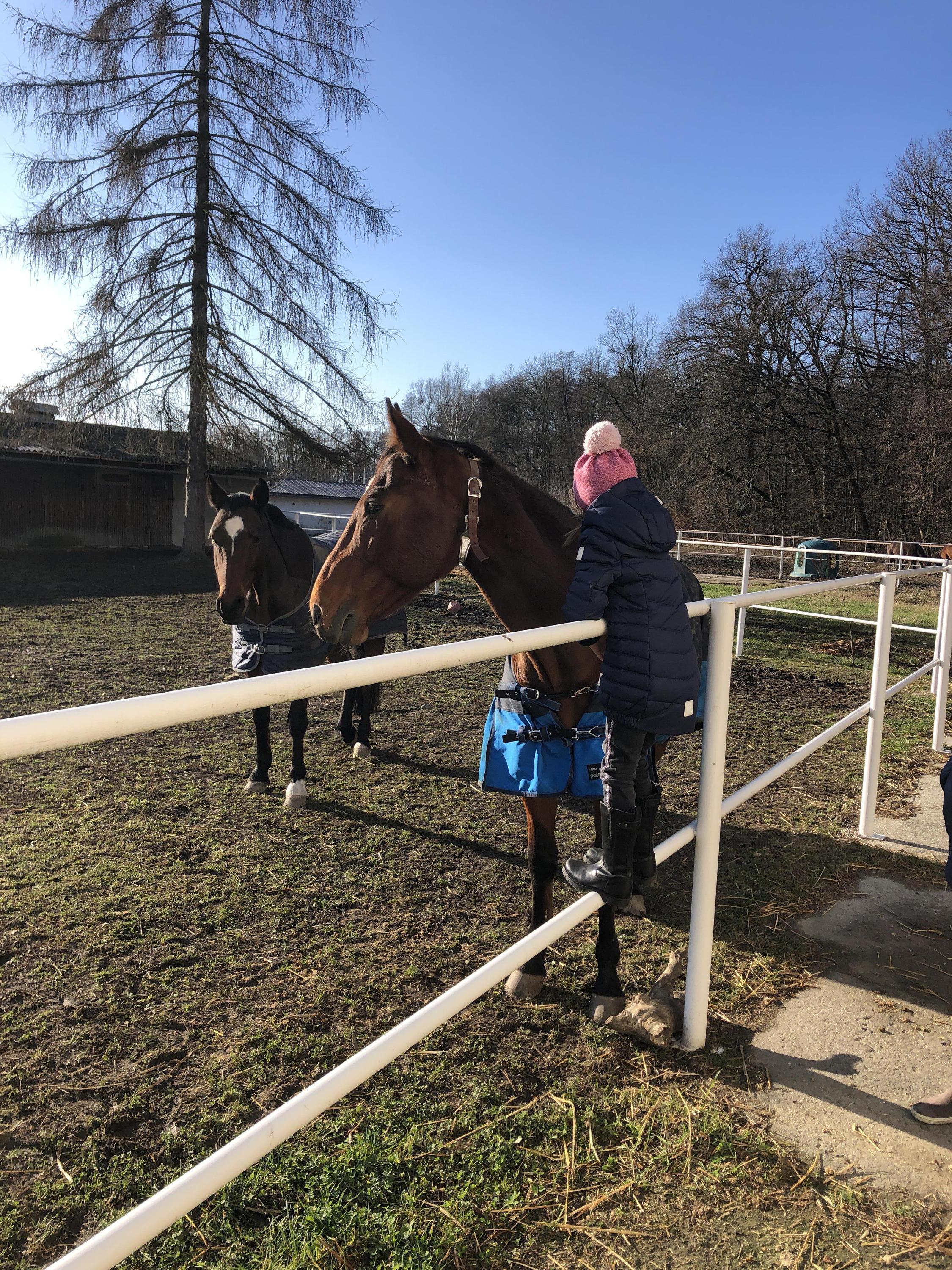 Zemědělská škola Přerov foto 4