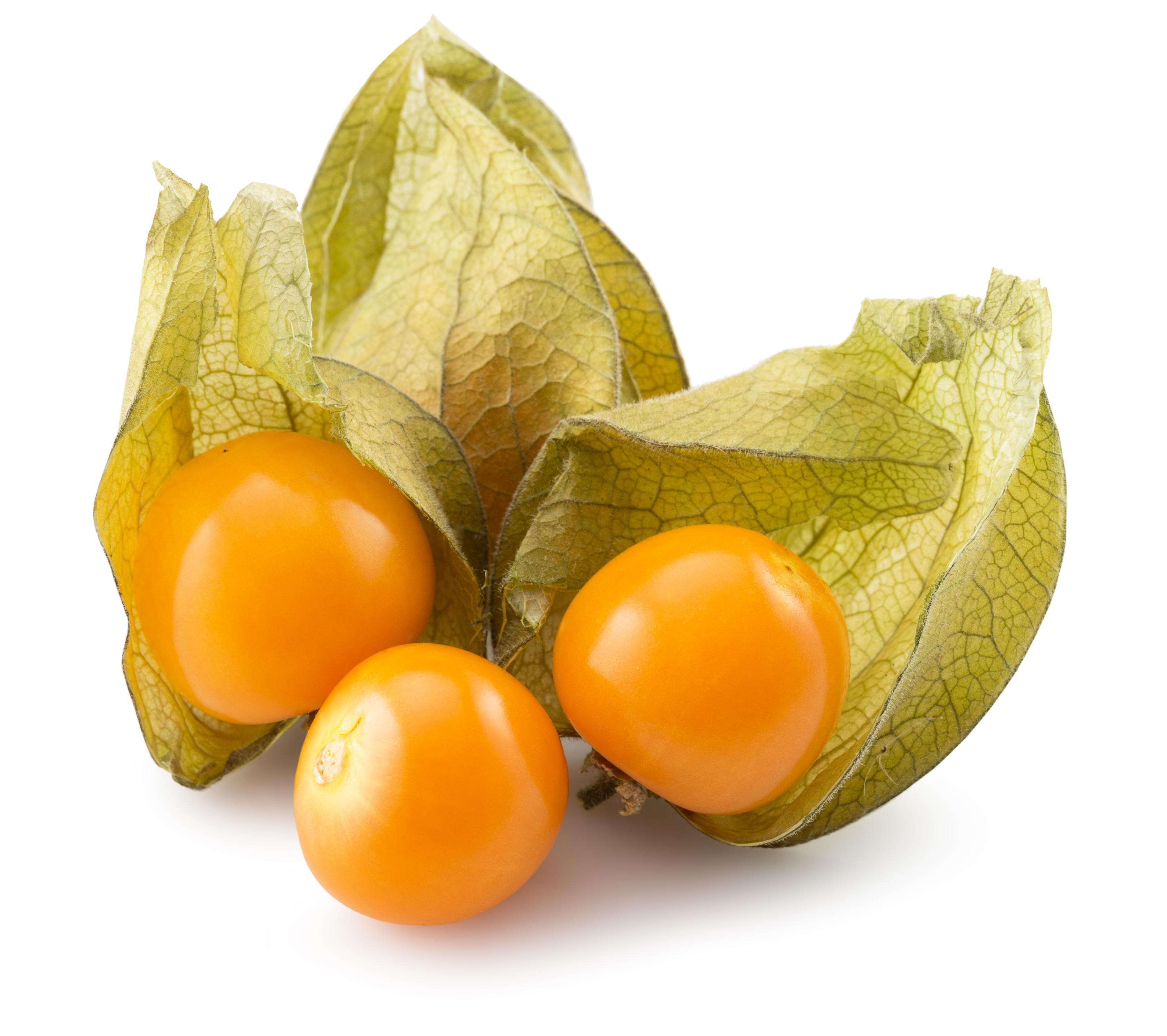 Almaterra superfoods s.r.o. foto 2