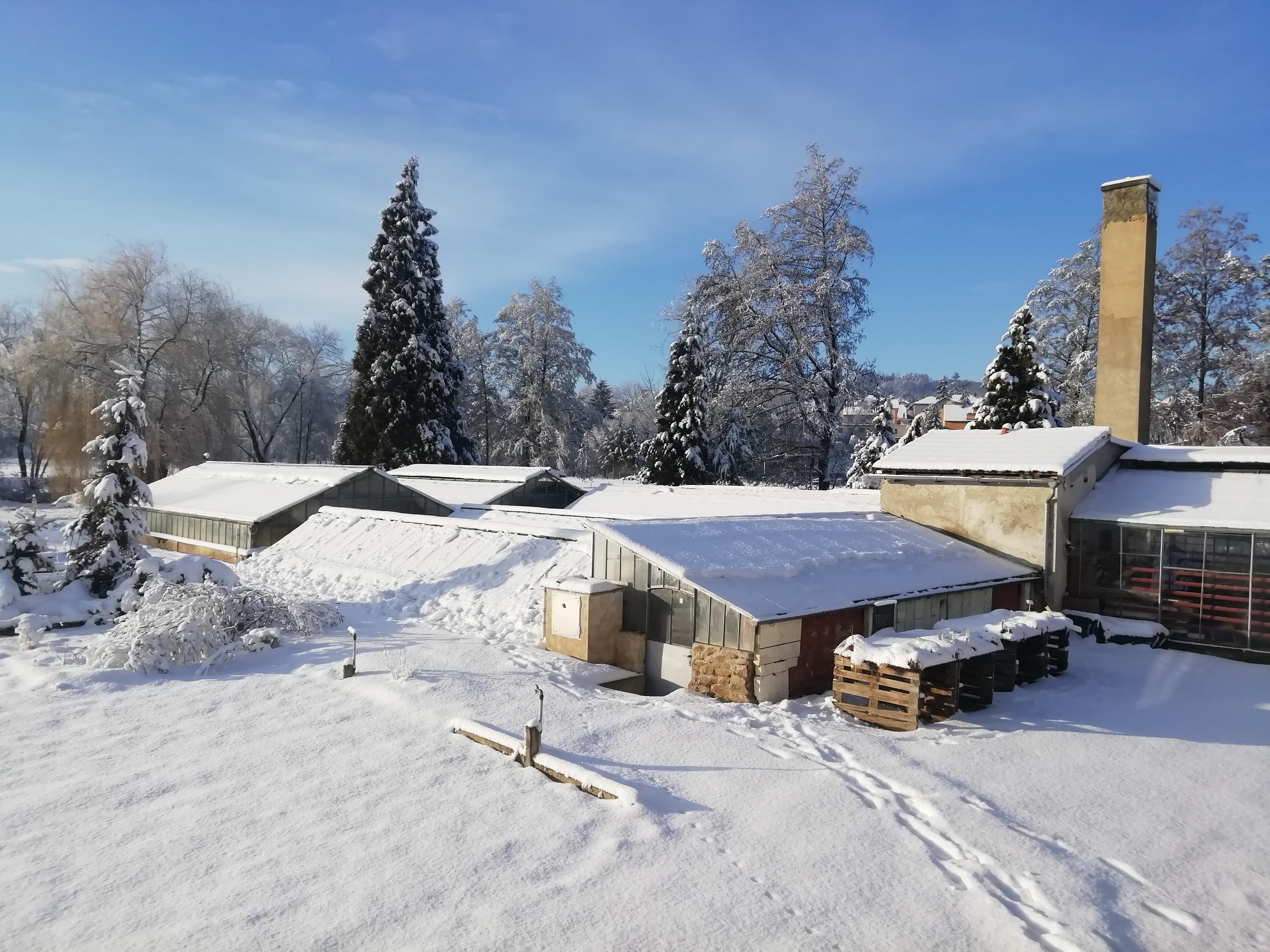 Sedlčanské zahradnictví foto 2