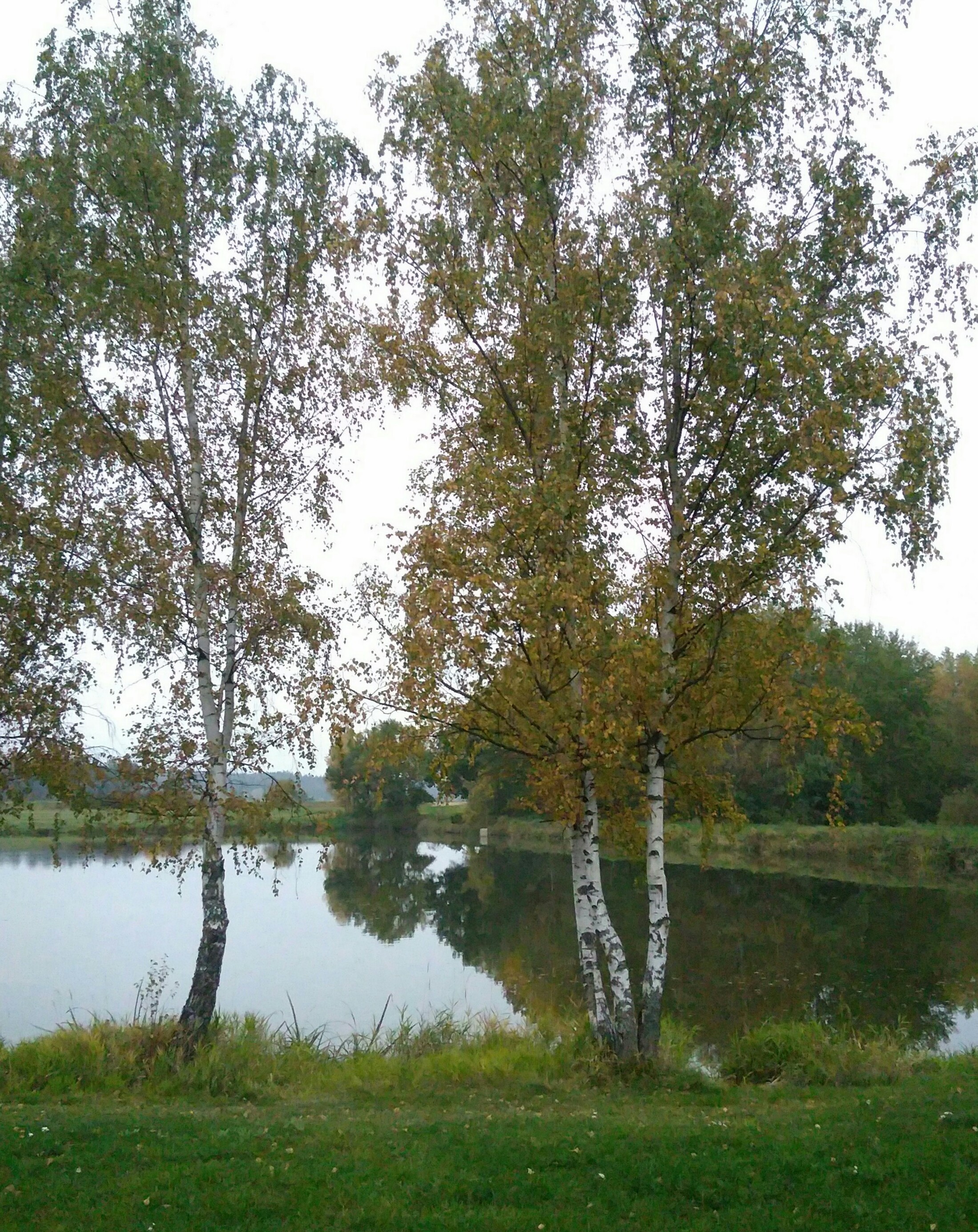 Občerstvení v rekreačním středisku Sycherák foto 2