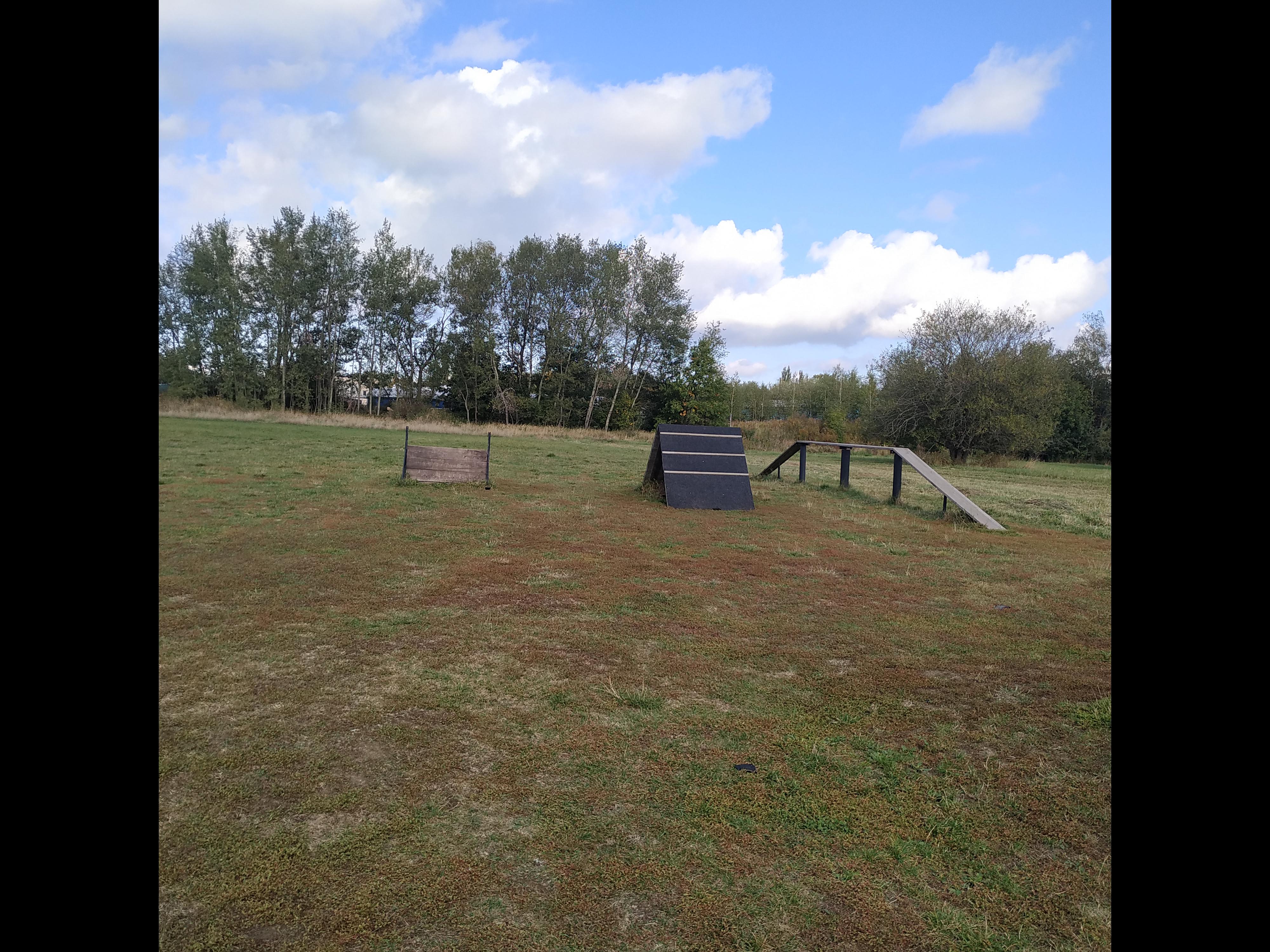 Psí škola VÁŠ PES Ludmila Nosálková foto 1