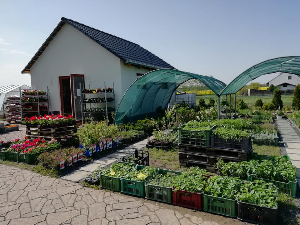 Zahradnictví Florana foto 6