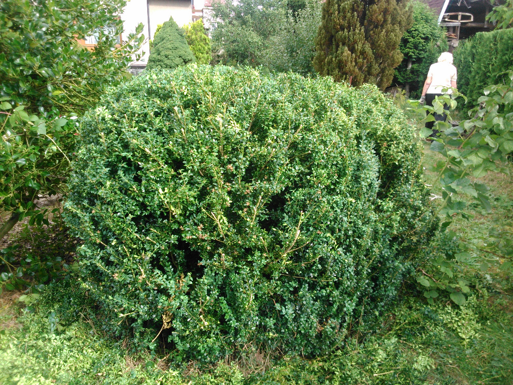 Kutildomu.cz foto 4