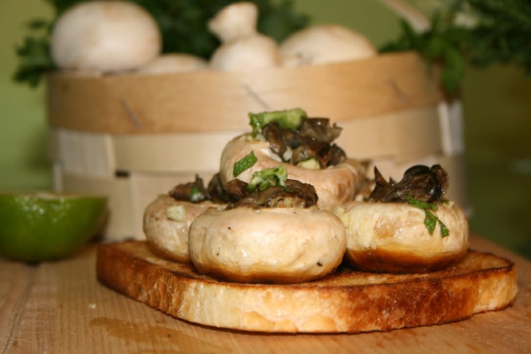 Šnečí farma foto 3