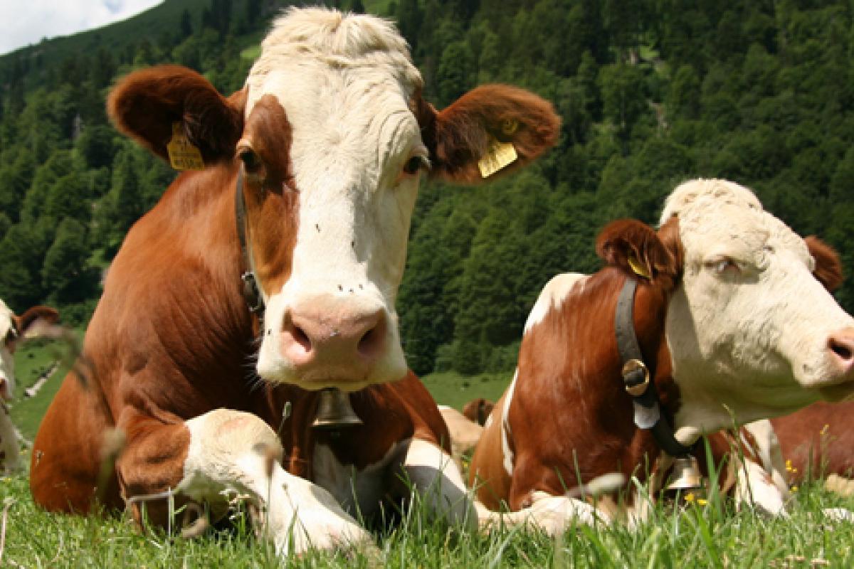 Farma Rudník s.r.o.