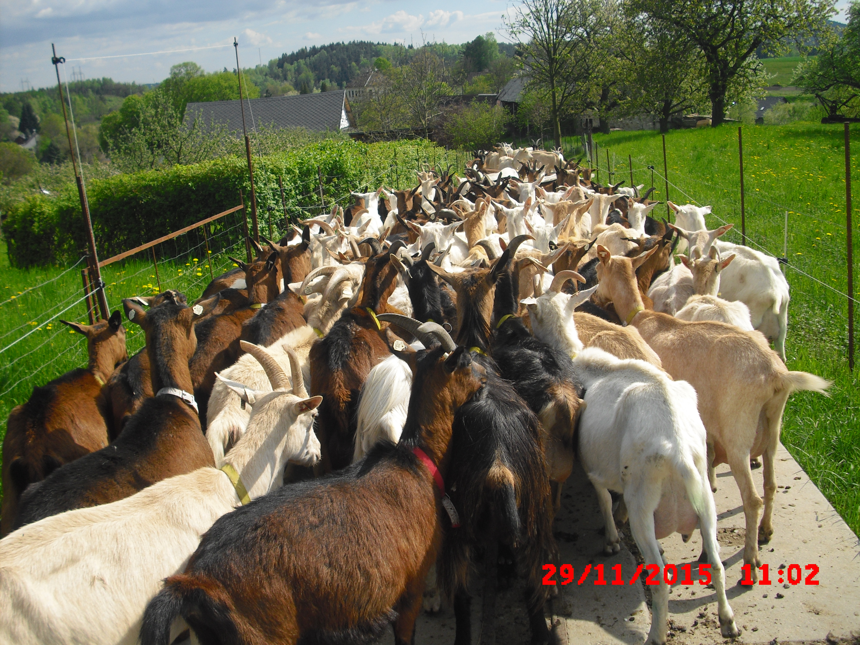 Farma pod Ještědem foto 2