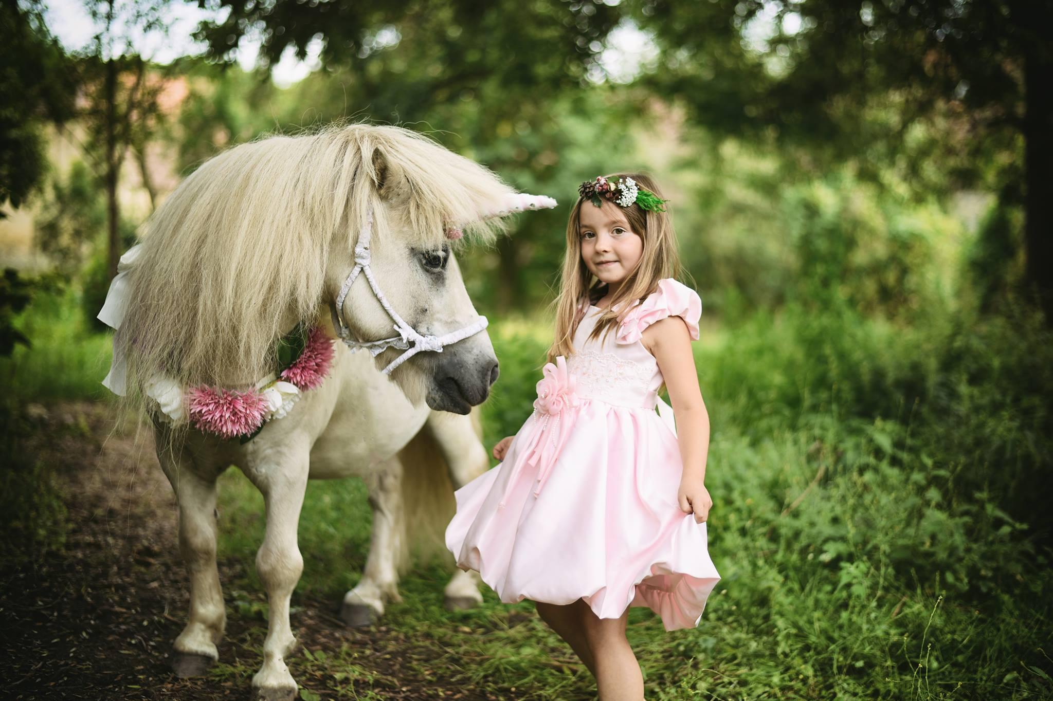 Veterinka U Tlapiček