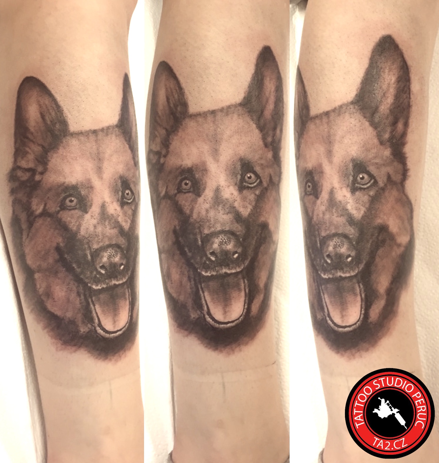 TA2 Tattoo studio Peruc foto 4