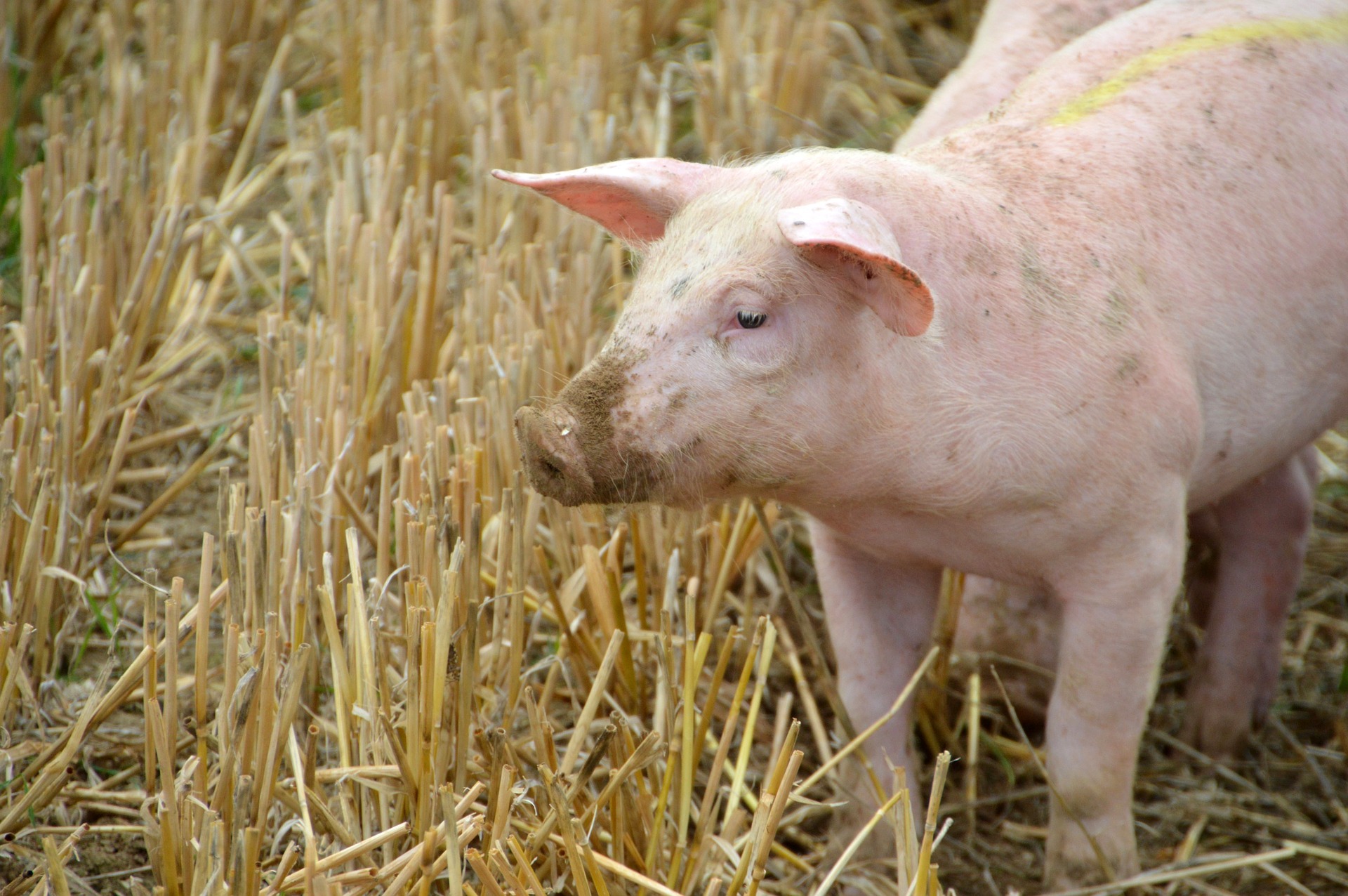 AGRO&PERSONAL foto 2