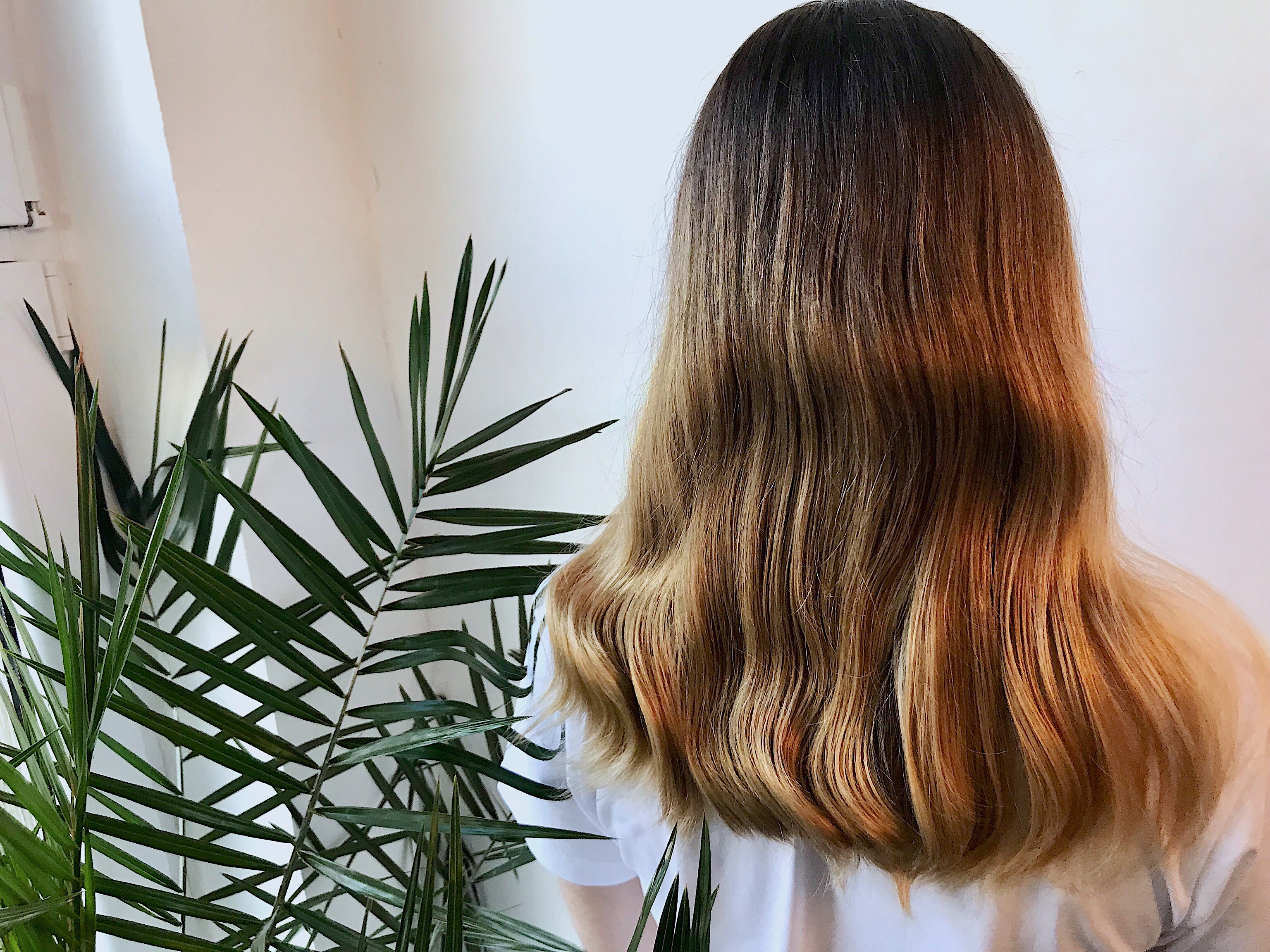 Jan Chvojka - Kadeřník