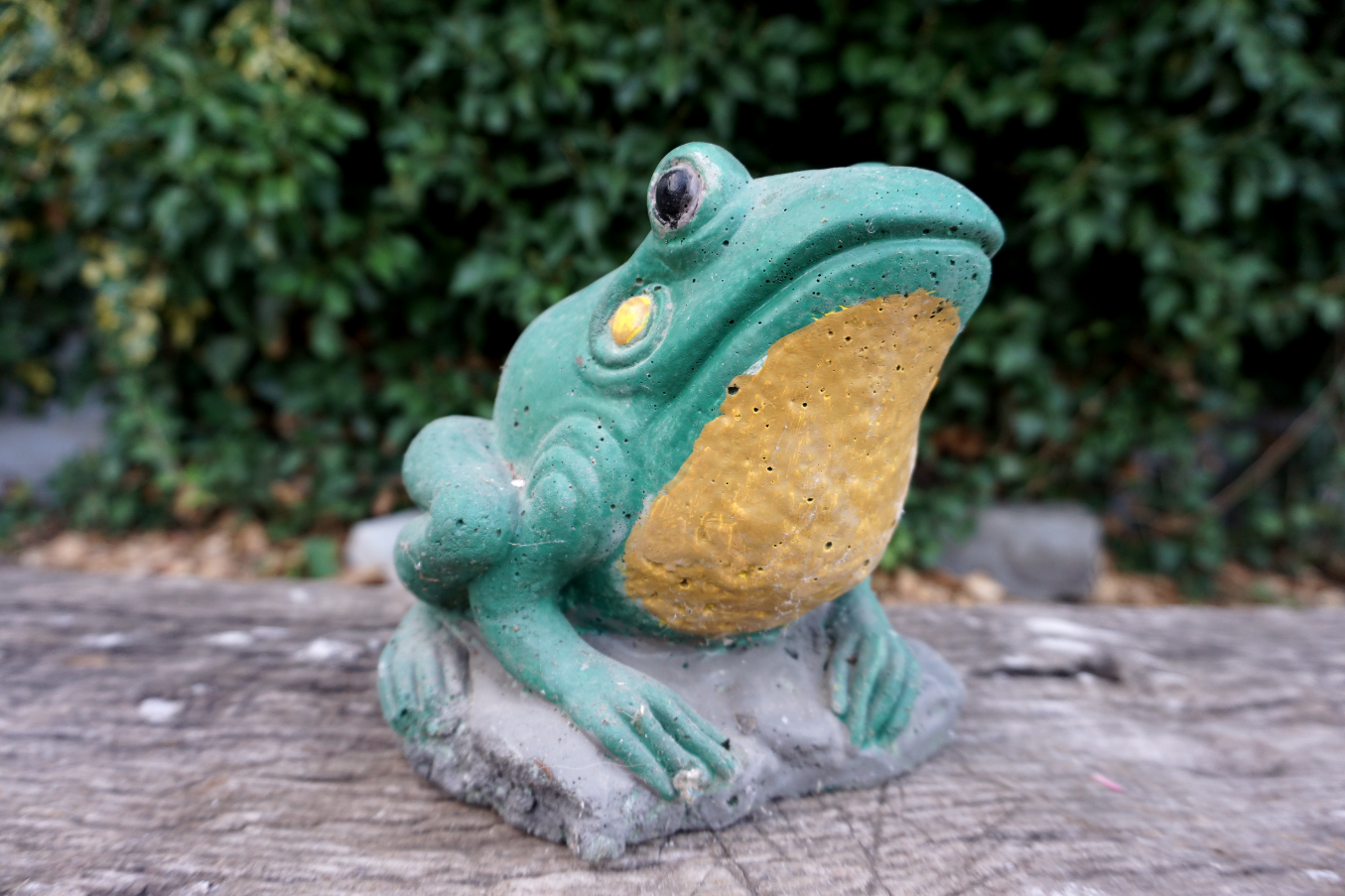 DUODEZ s.r.o. foto 3