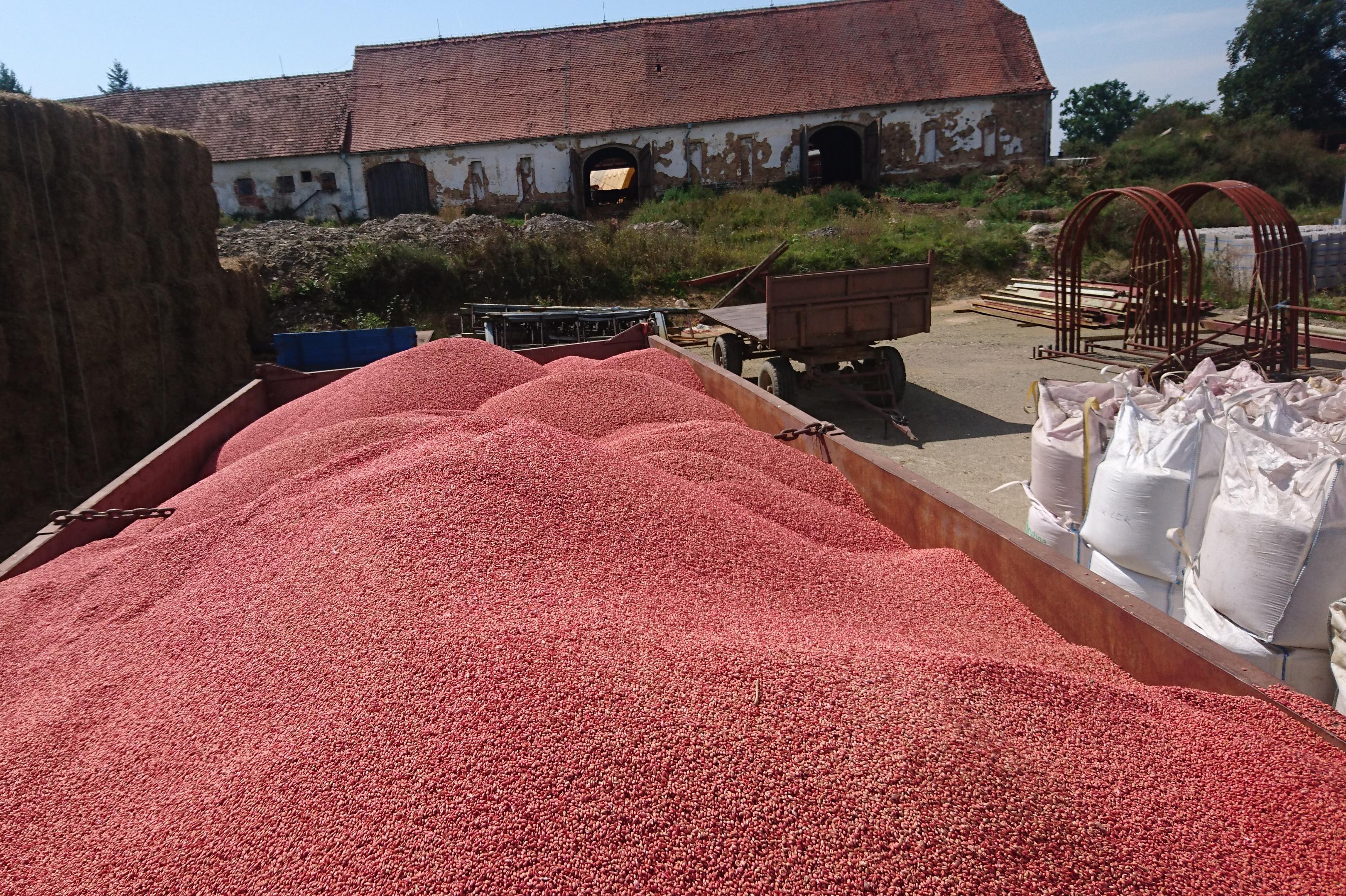 Mobilní Moření Osiva s.r.o.