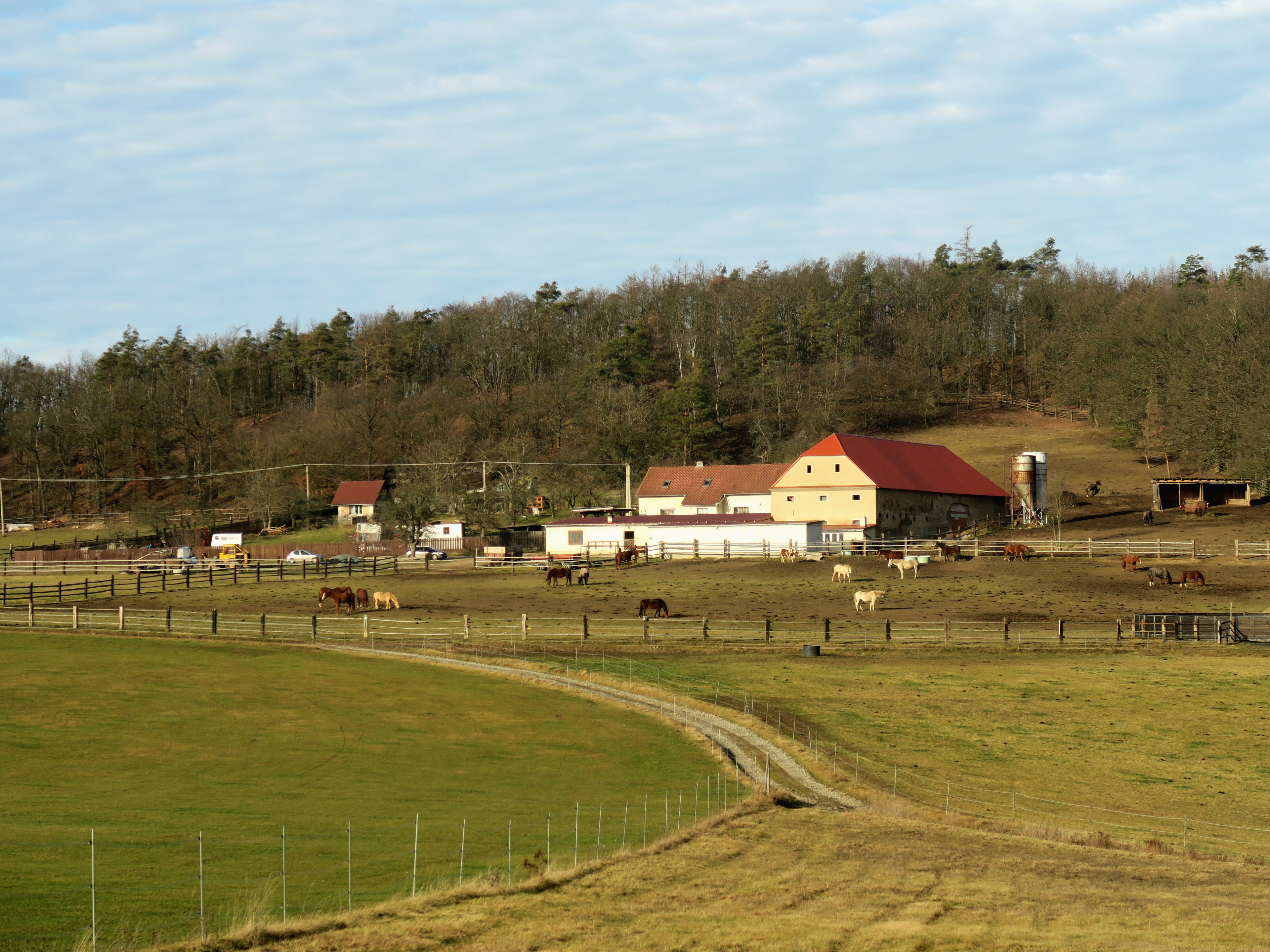Stáj Nebuz foto 5