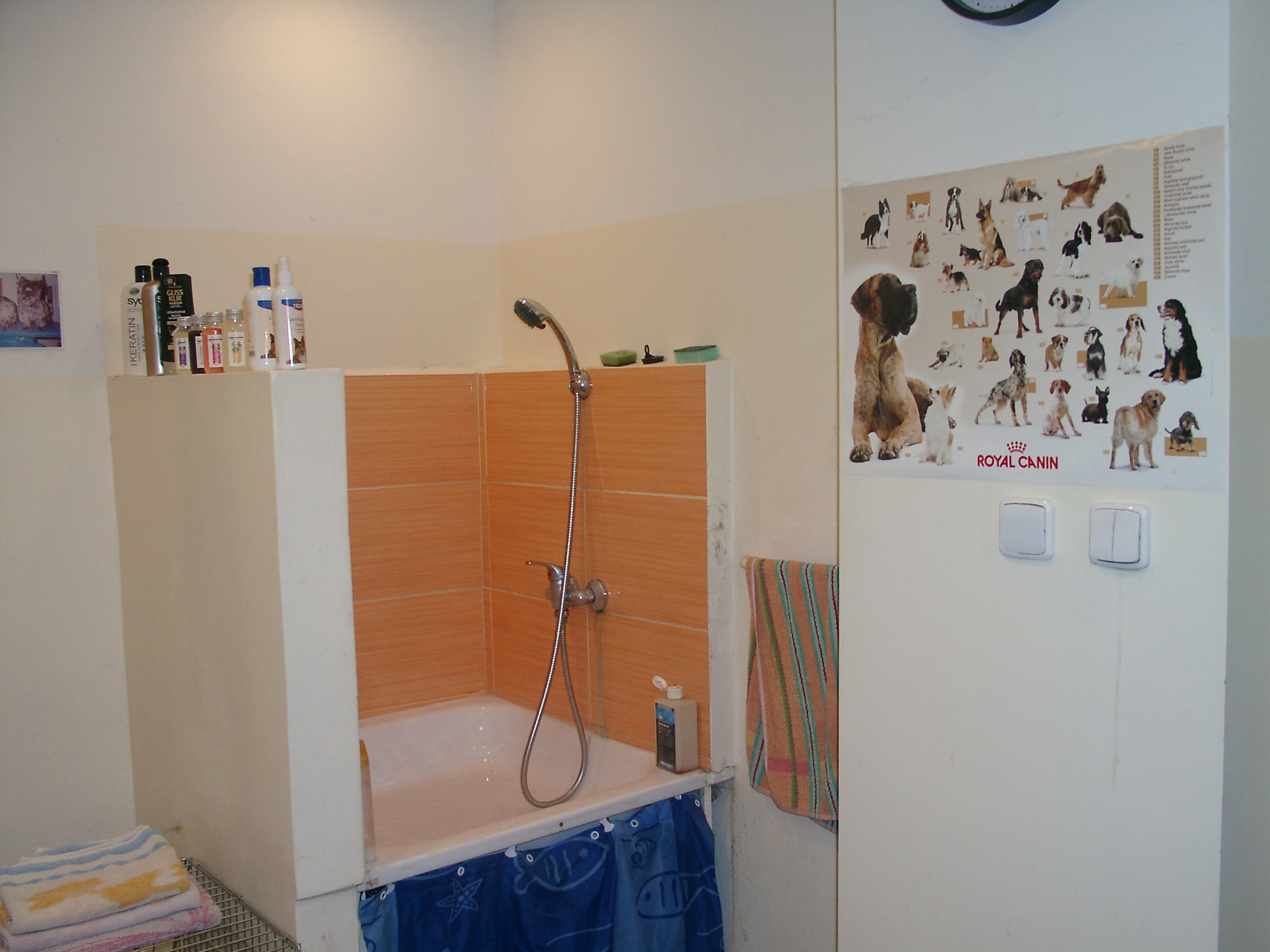 Psí salon Lovosice foto 3