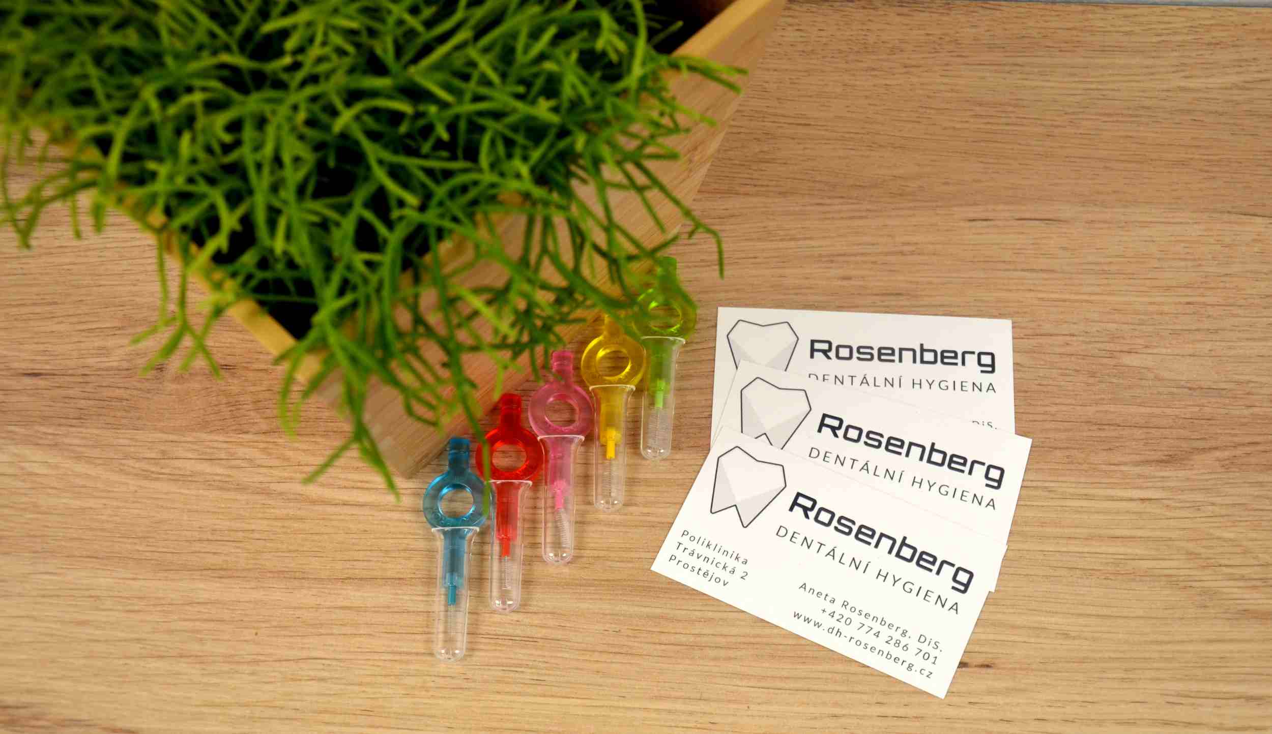 Dentální hygiena Rosenberg foto 3