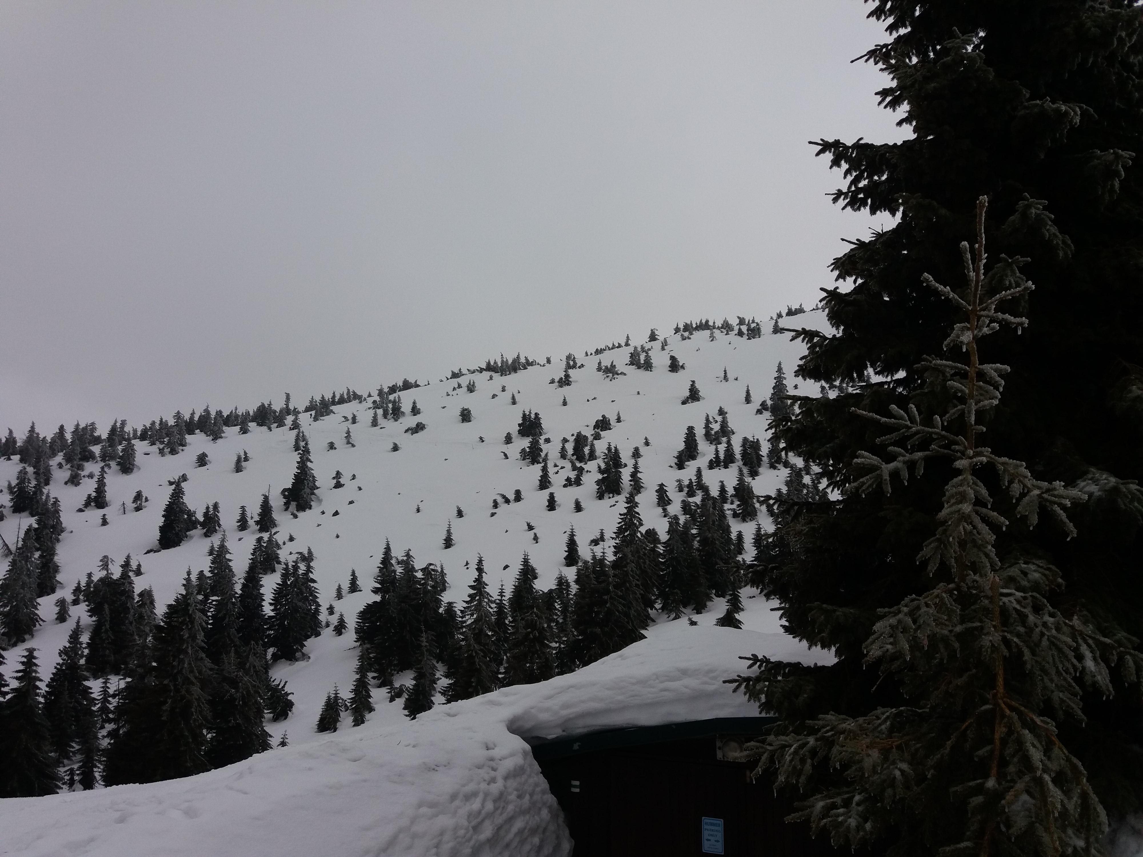 Restaurace Martinova bouda foto 6