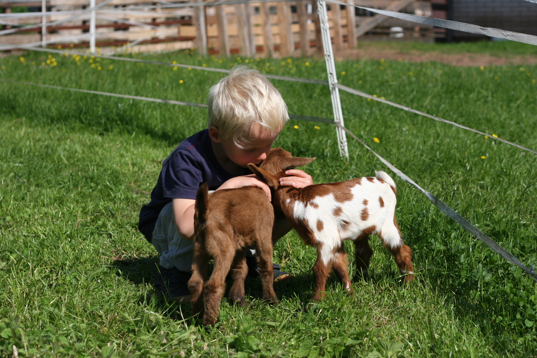 Farma Basařovi foto 6