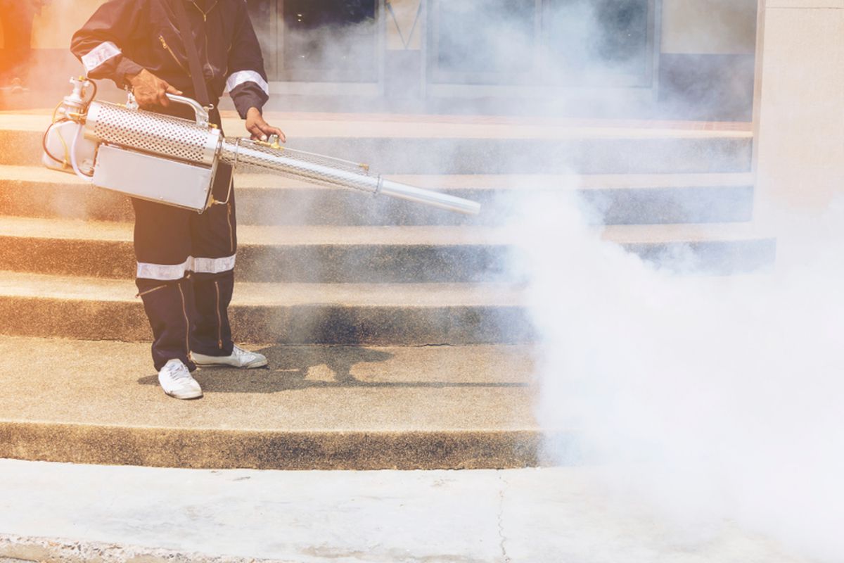 ASANA Control, s.r.o. - Deratizace, dezinfekce foto 3