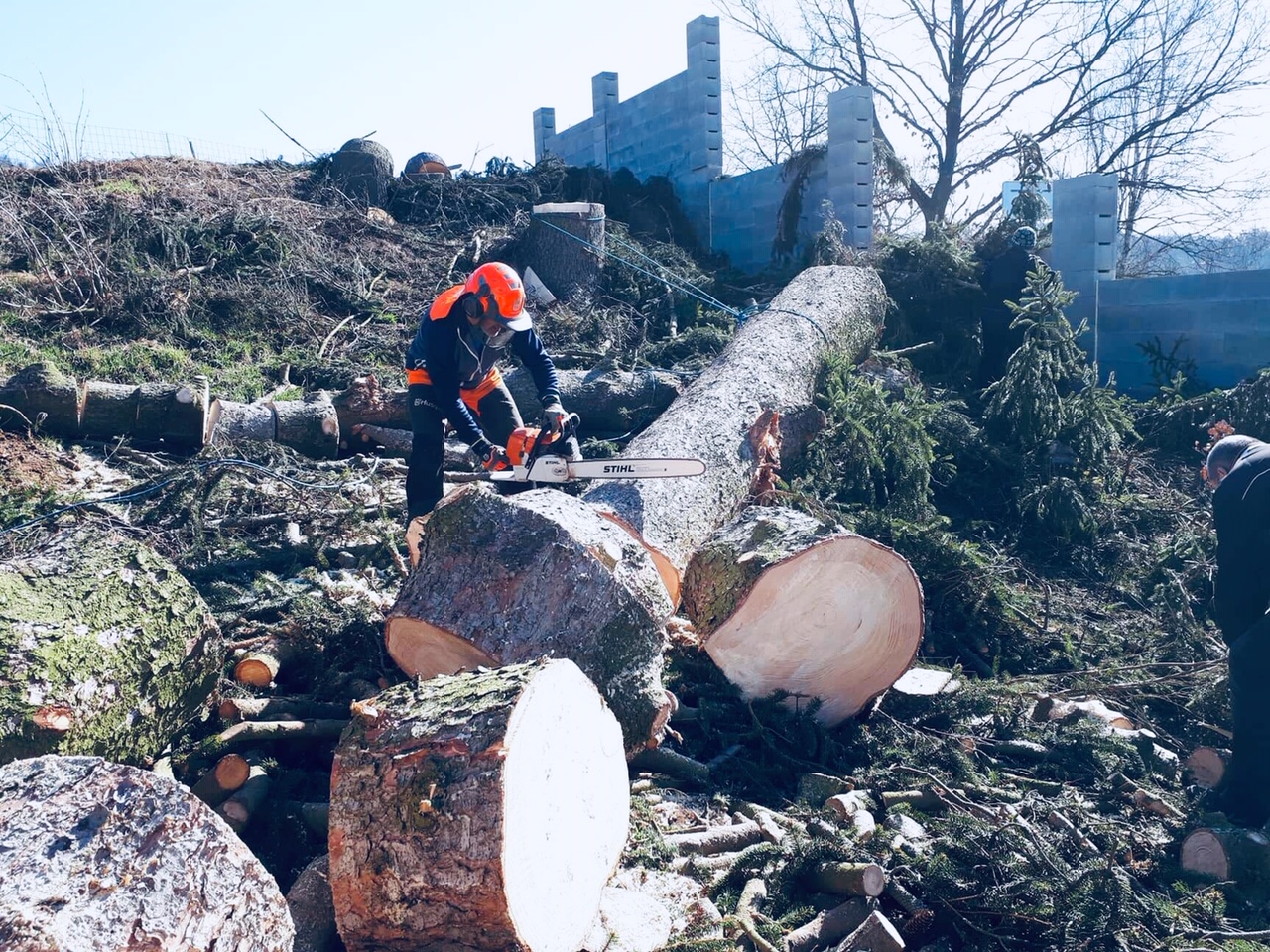 Jiří Dvořák foto 2