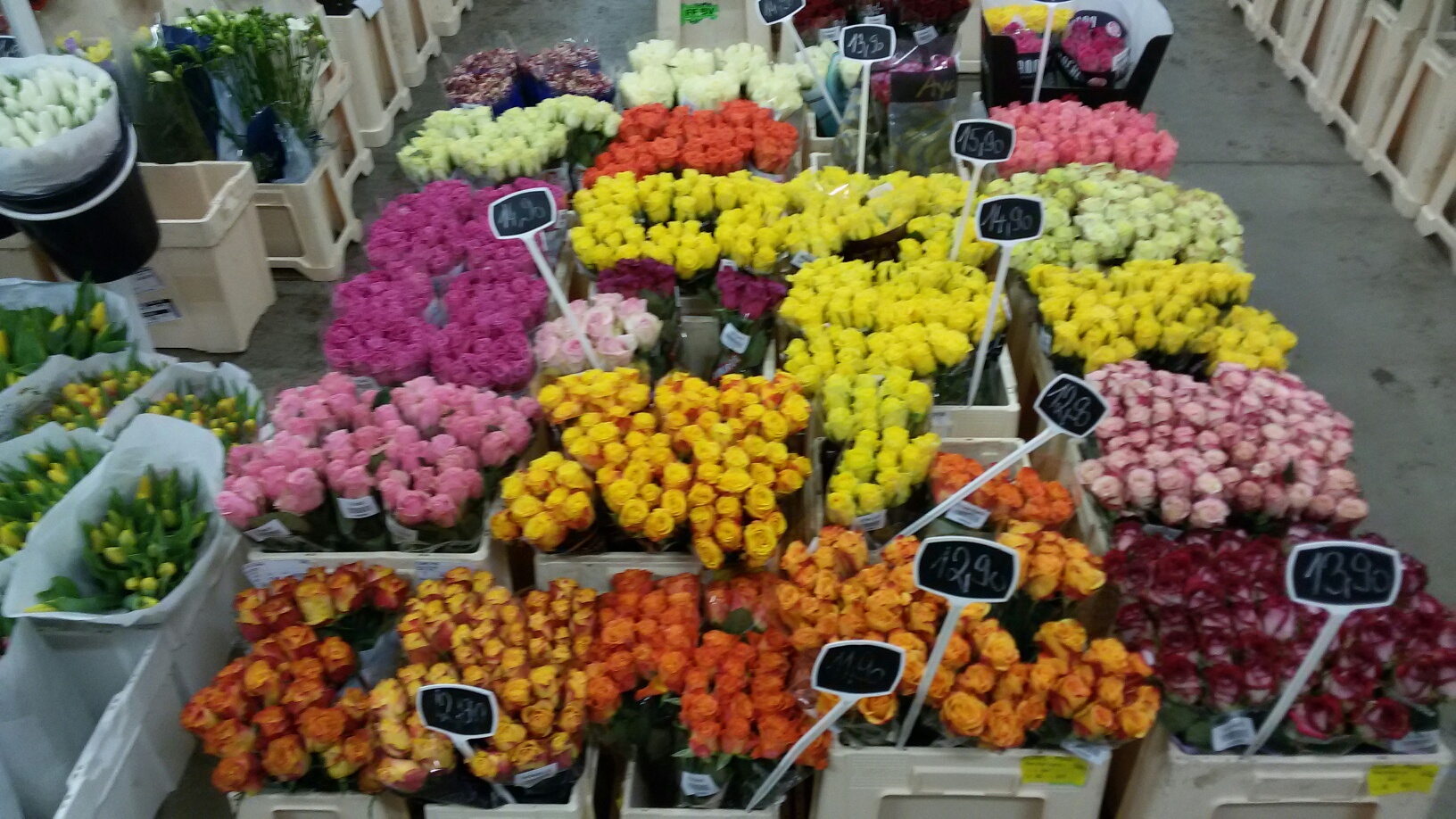 FLORPLANT, s.r.o. foto 3