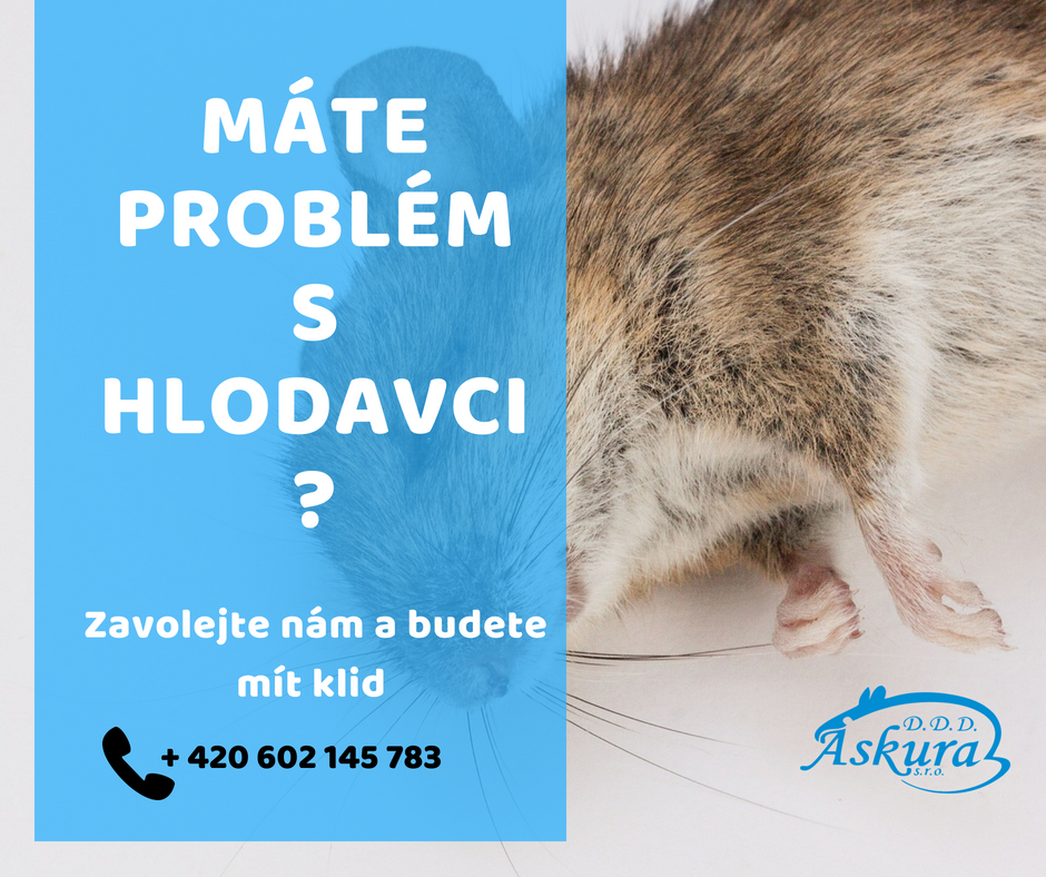 ASKURA DDD, s.r.o. foto 2