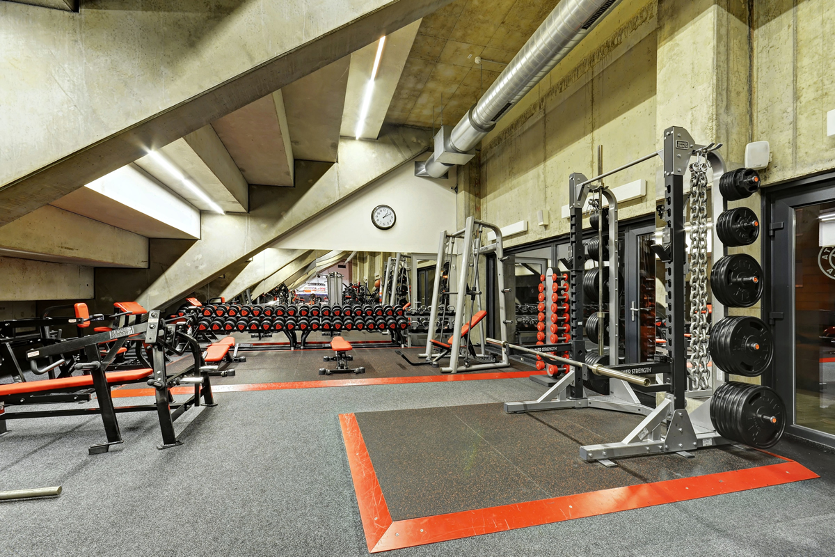 Hammer Strength Fitness SPARTA foto 5