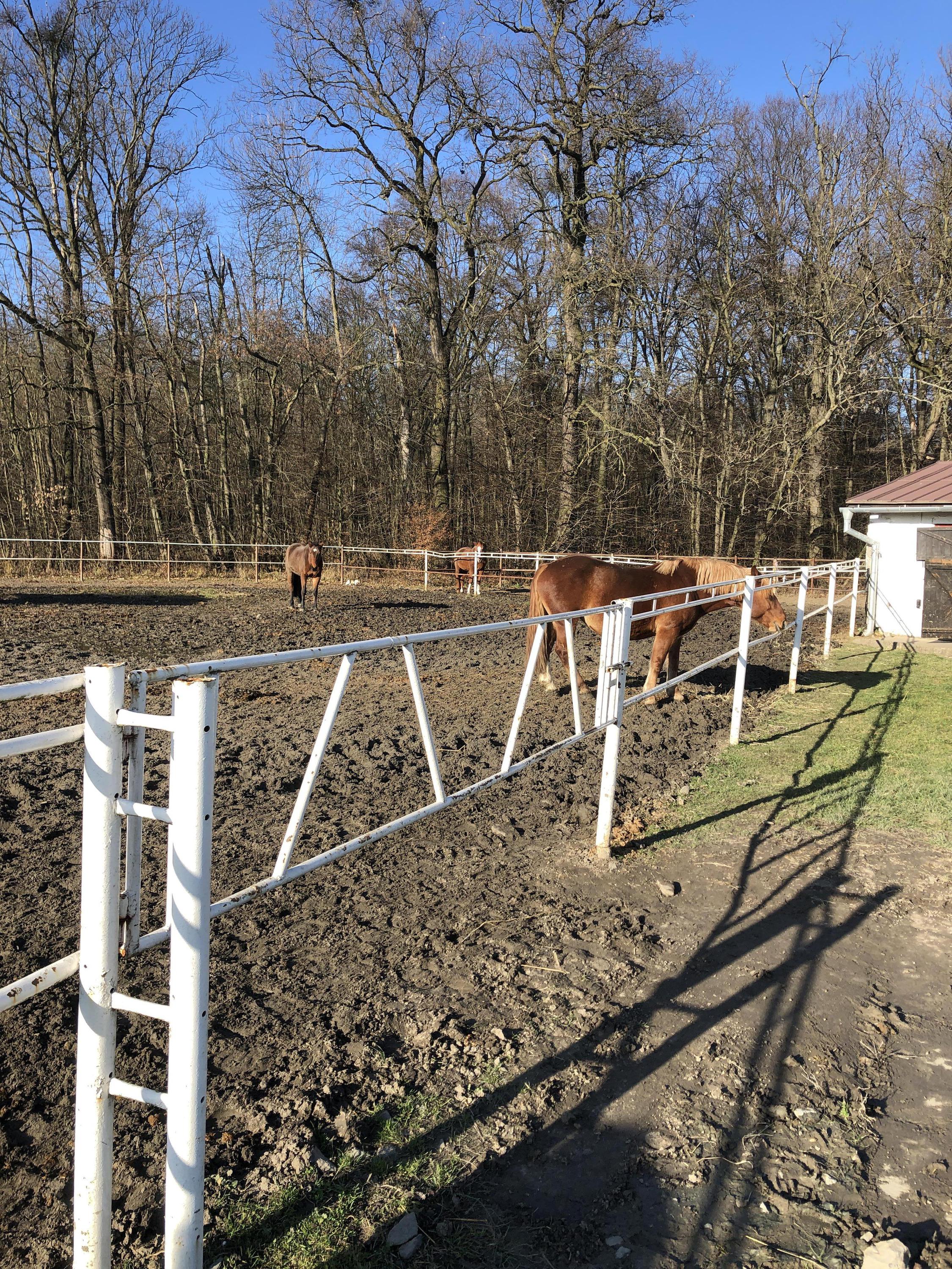 Zemědělská škola Přerov foto 5